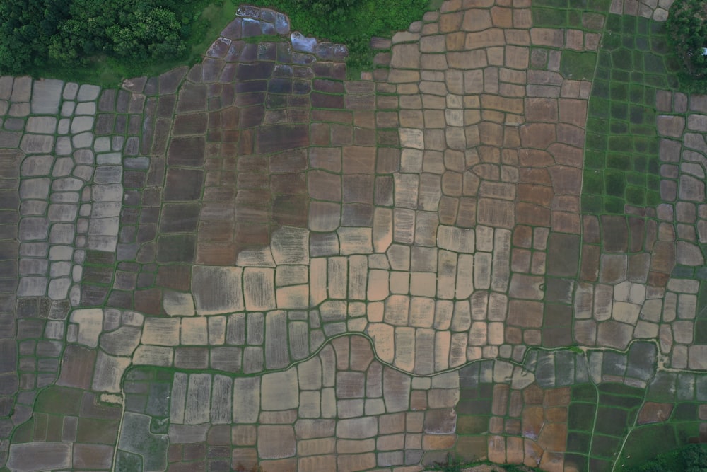 Luftaufnahme eines Grasfleckens und eines Flecks Erde