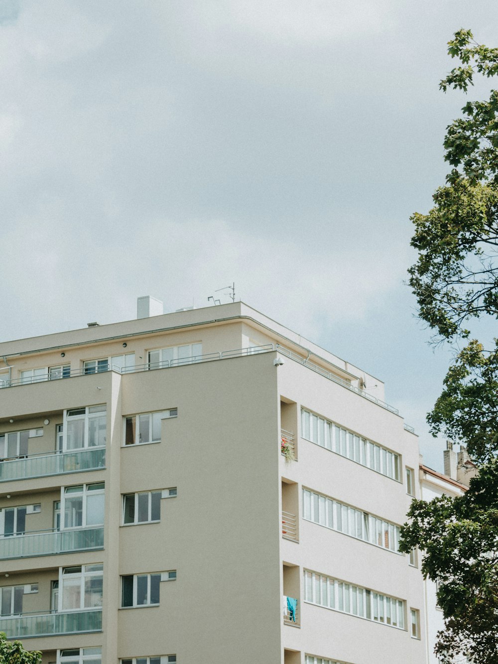 a tall white building sitting next to a lush green forest