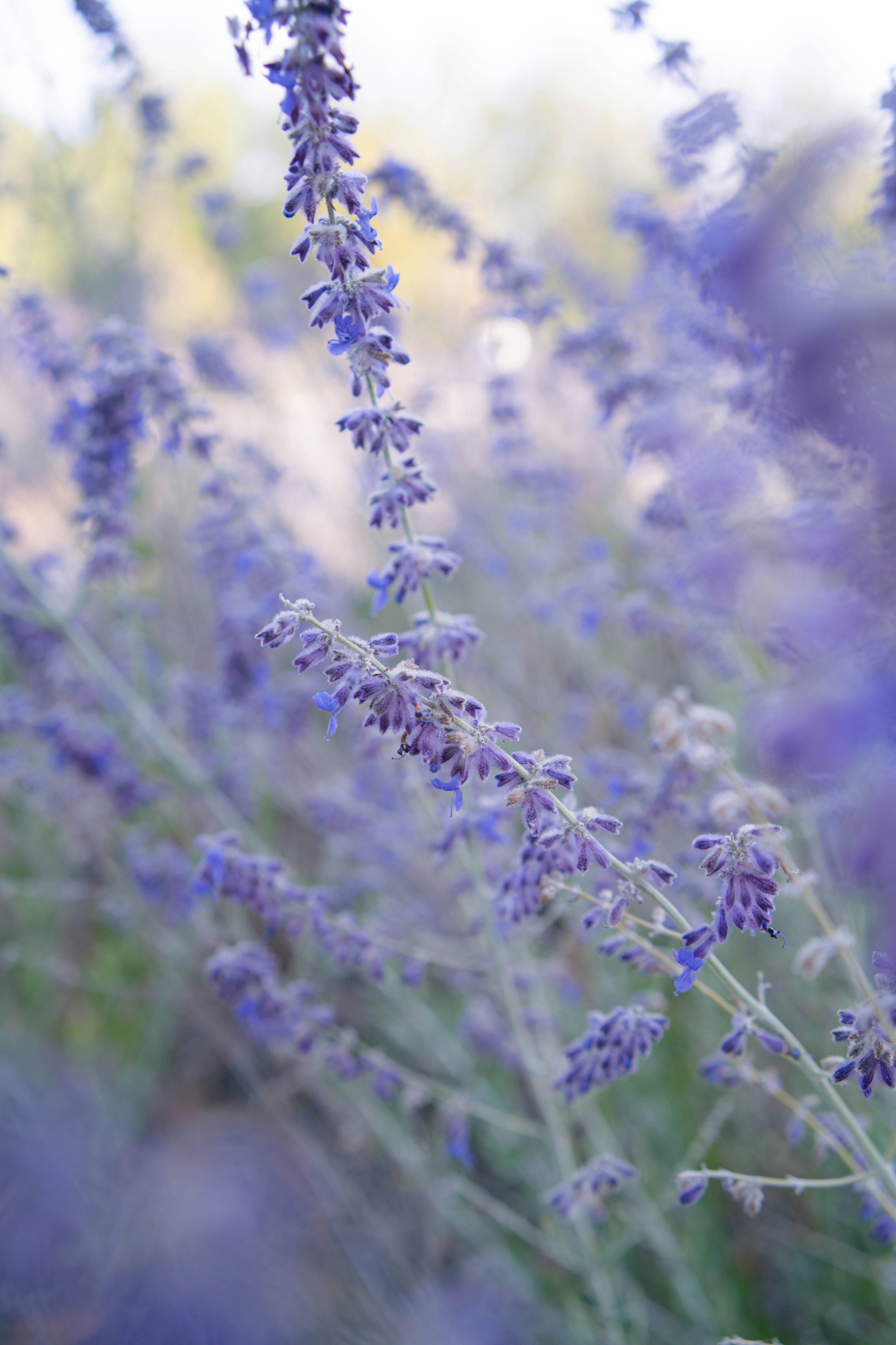 Photo by sunnynguyen