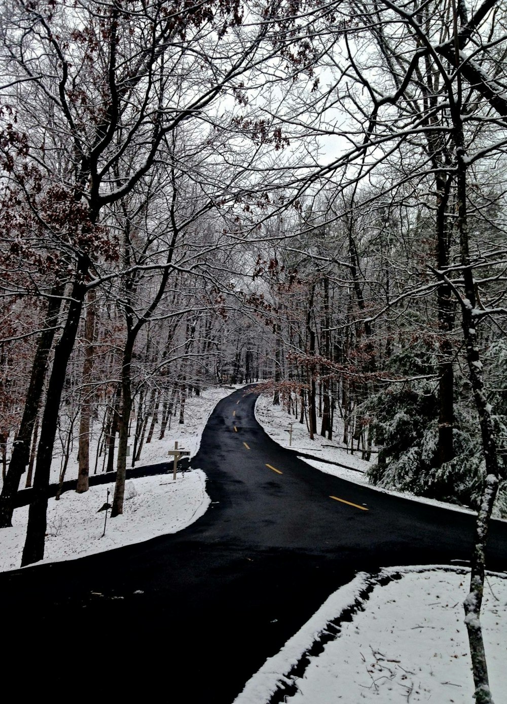 a road in the middle of a snowy forest