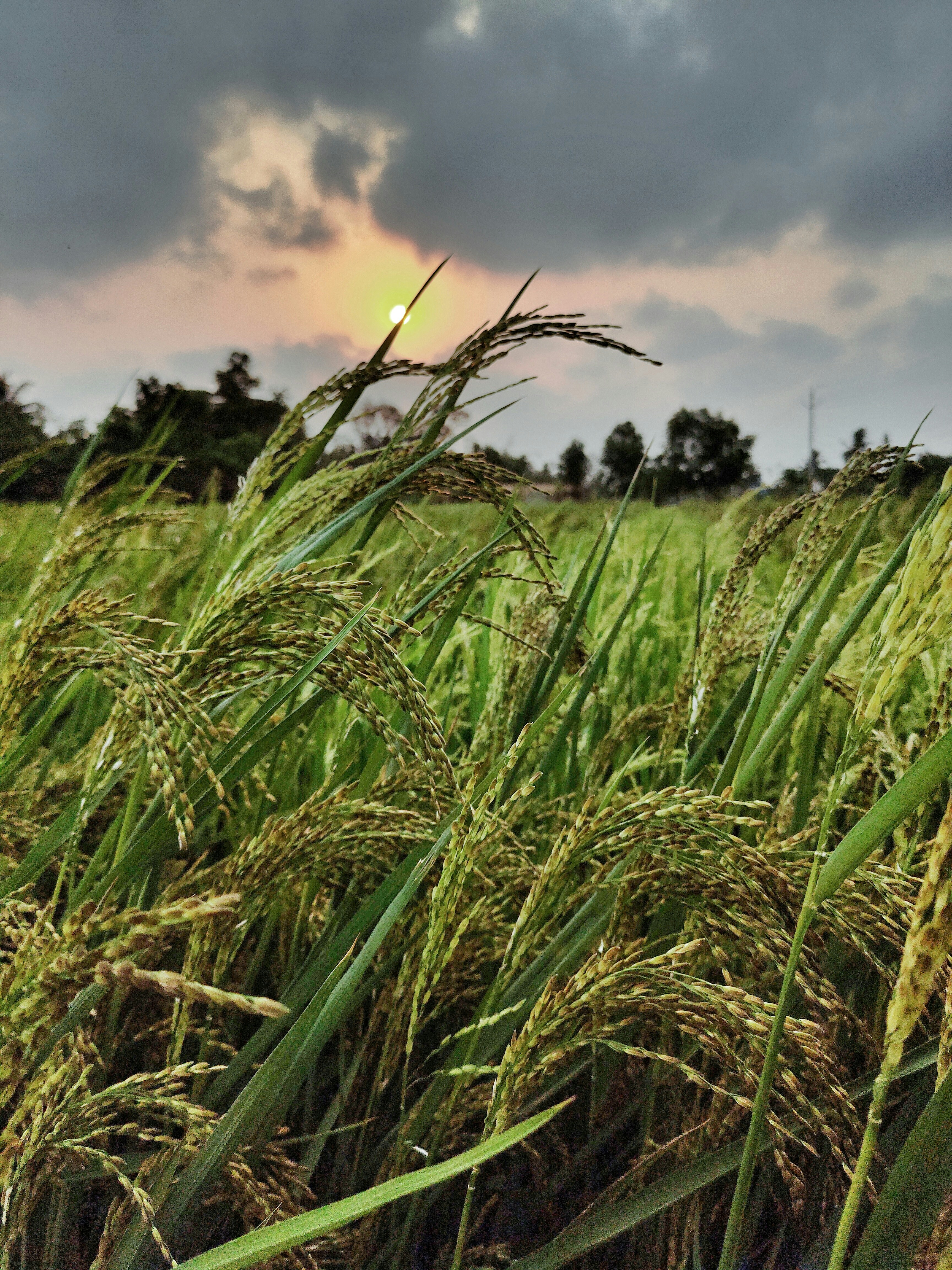 Photo by pradyumna10