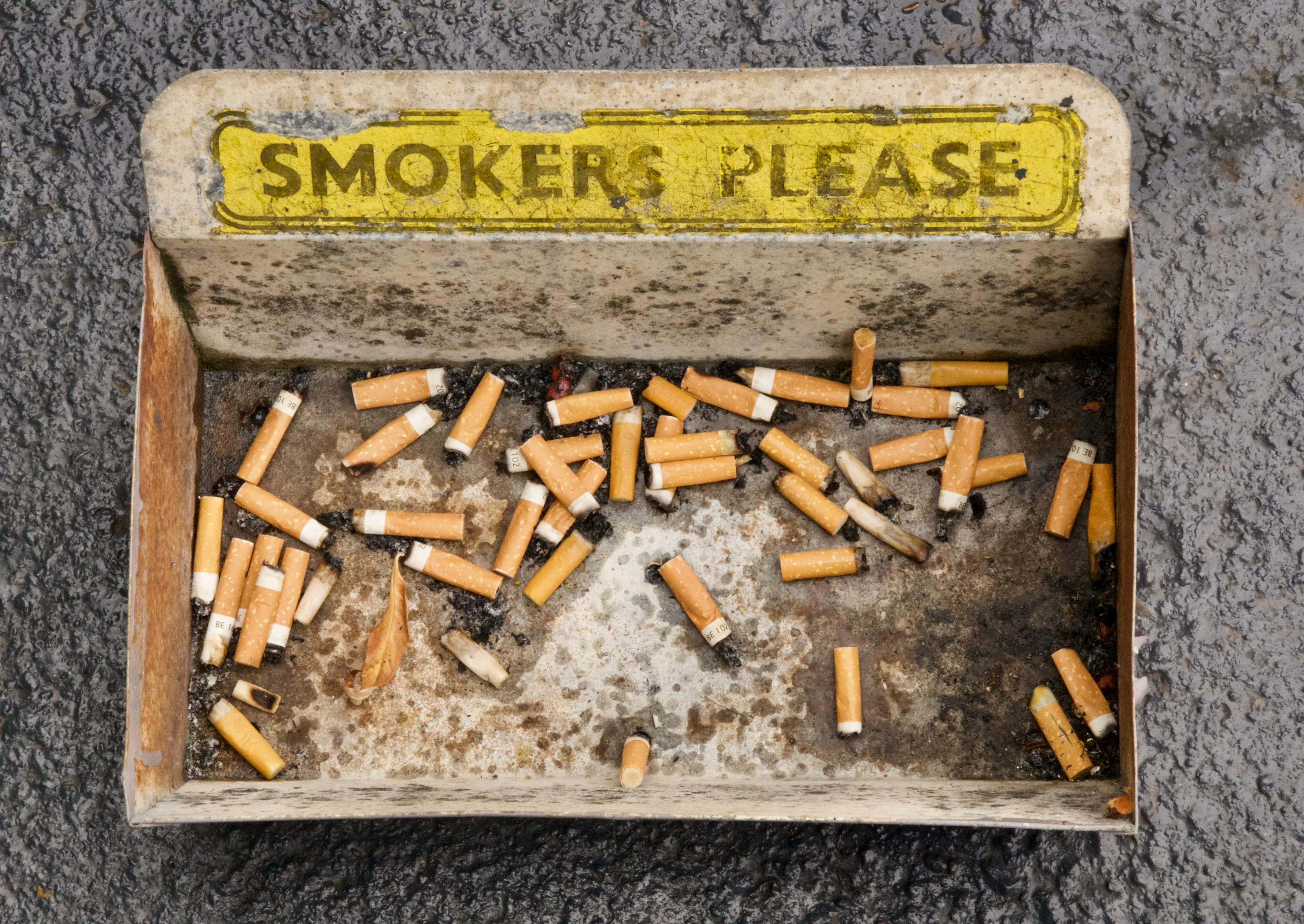 ashtray full of cigarettes Cigarette Butts by Victor De Schwanberg / Science Photo Library Ashtray Car Full Cigarette Ends