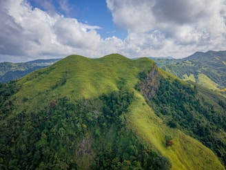 a lush green hillside with a blue sky and clouds