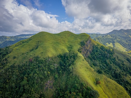 a lush green hillside with a blue sky and clouds