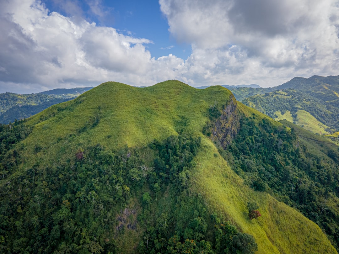 a lush green hillside with a blue sky and clouds,