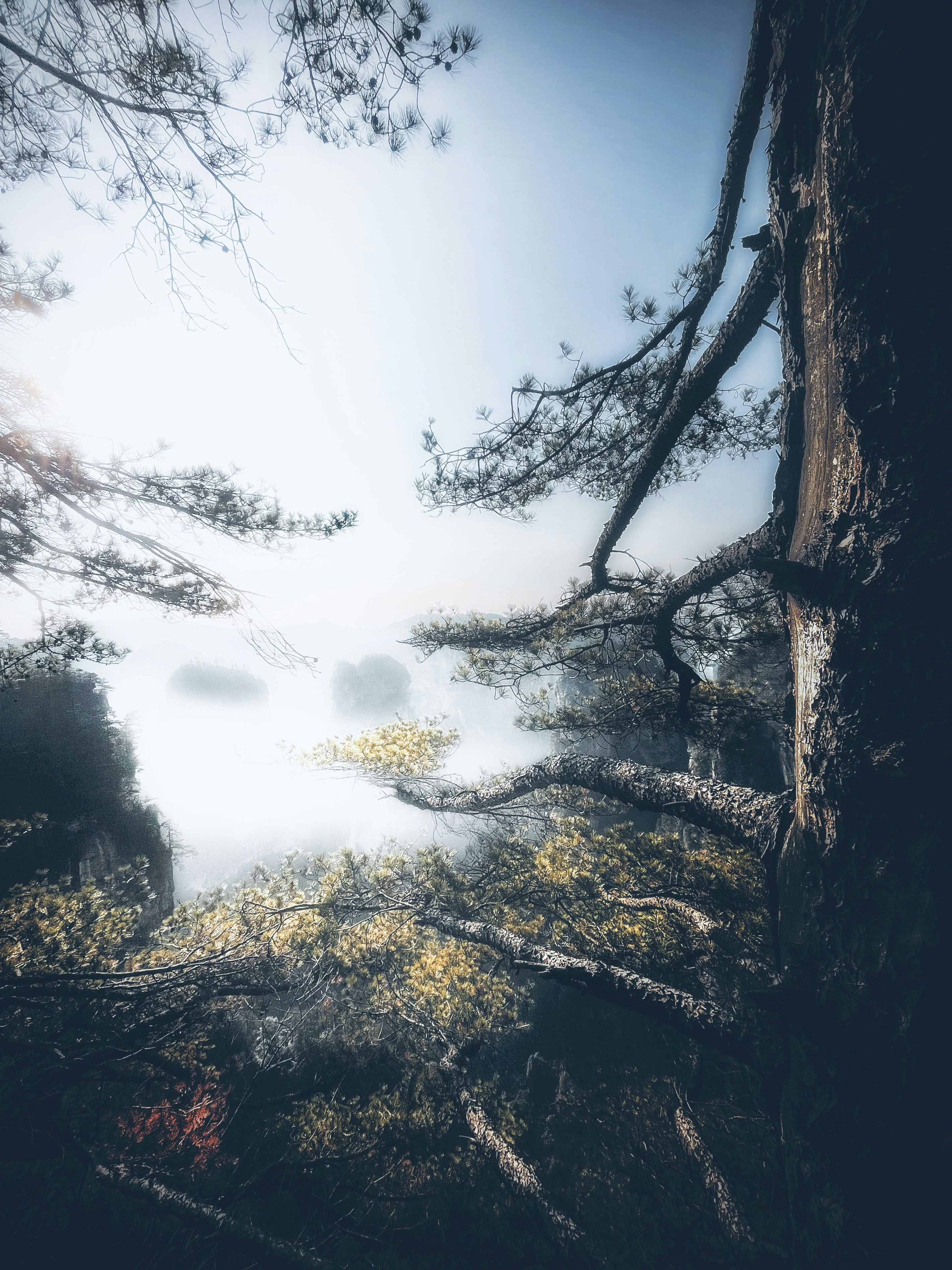 Photo by vincent_tint