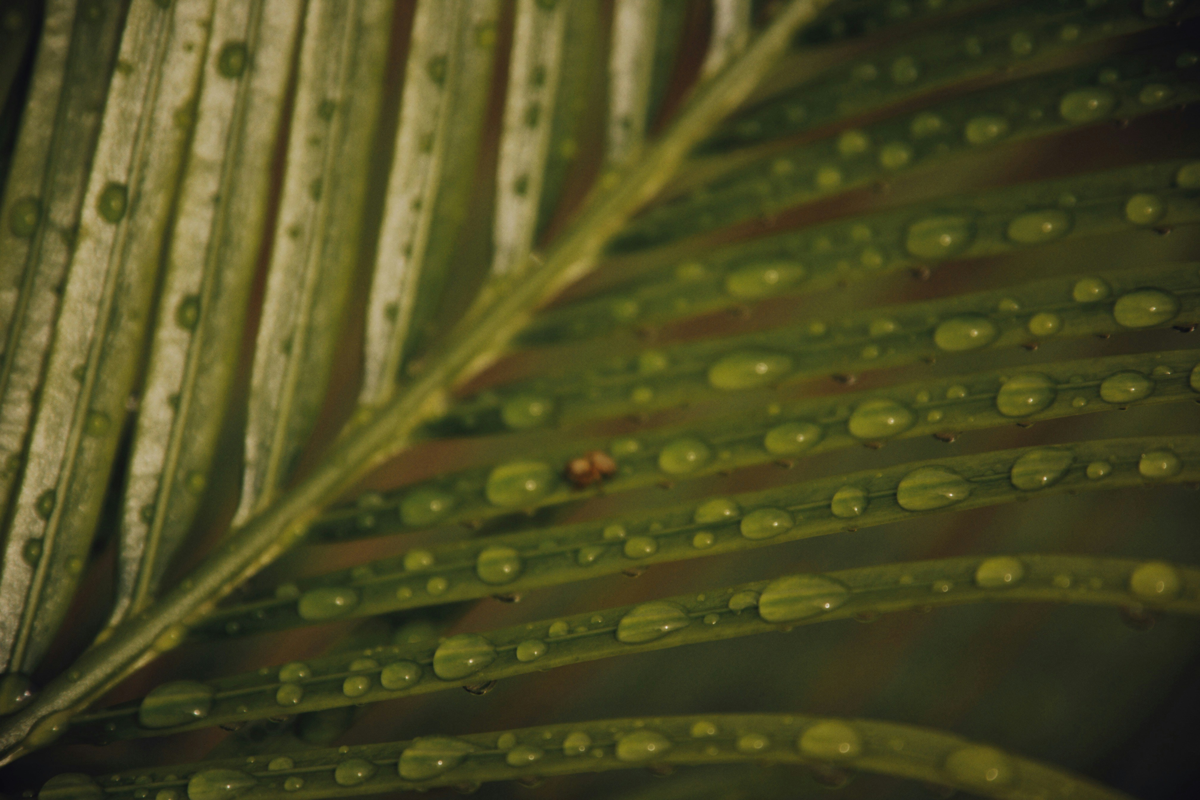 Photo by alexeydemidov