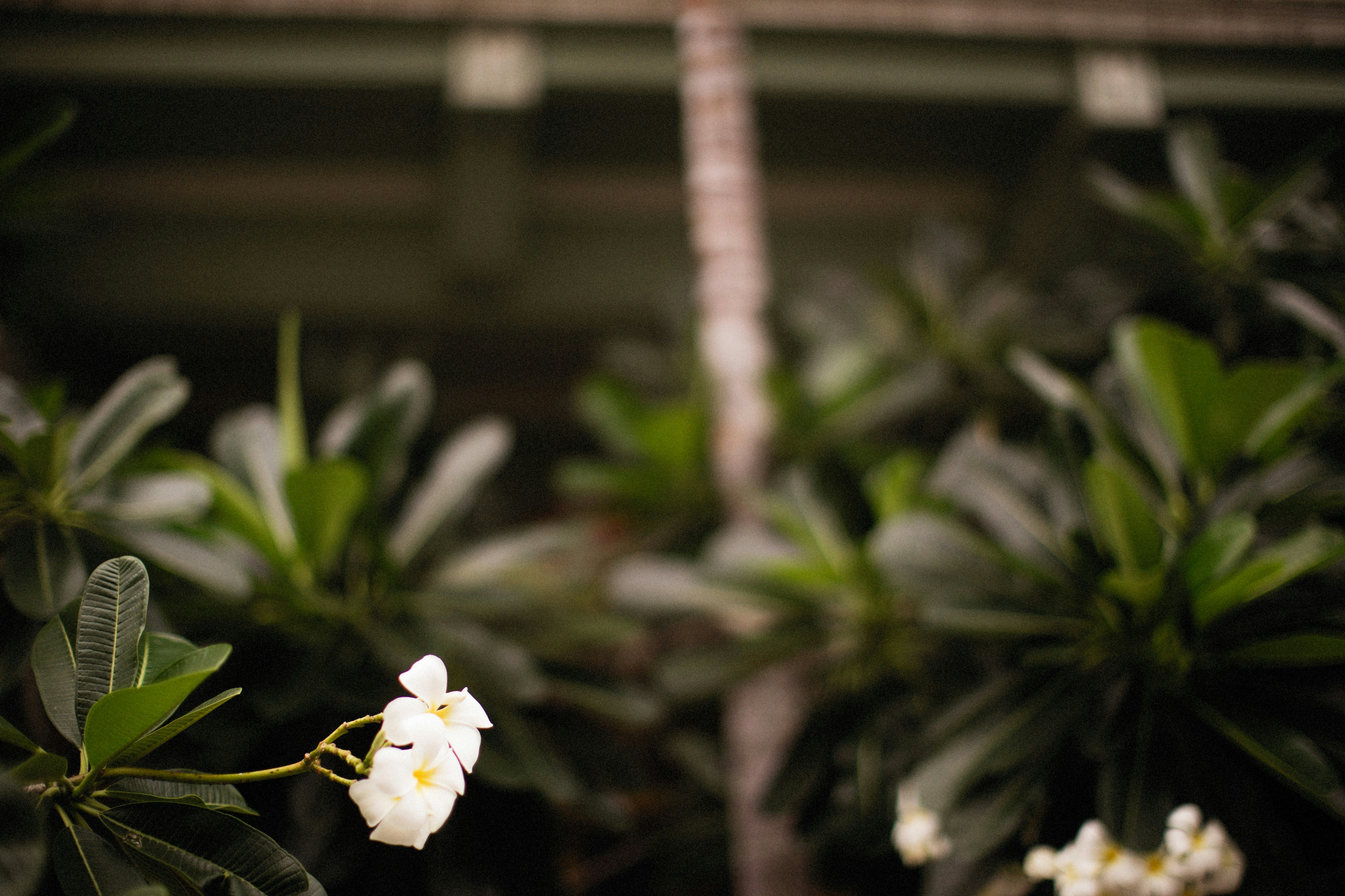 Photo by alexeydemidov