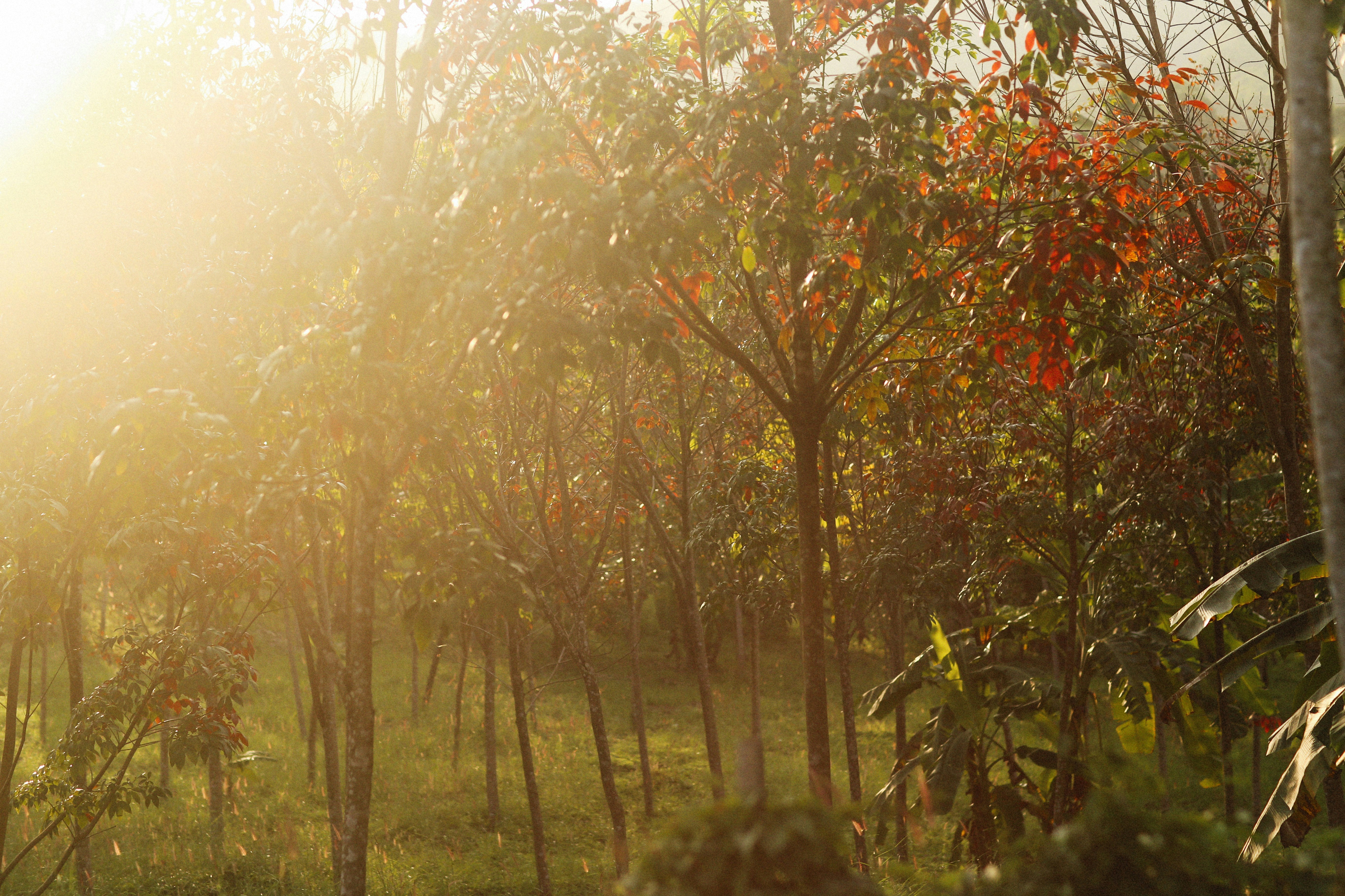 Photo by alexeydemidov