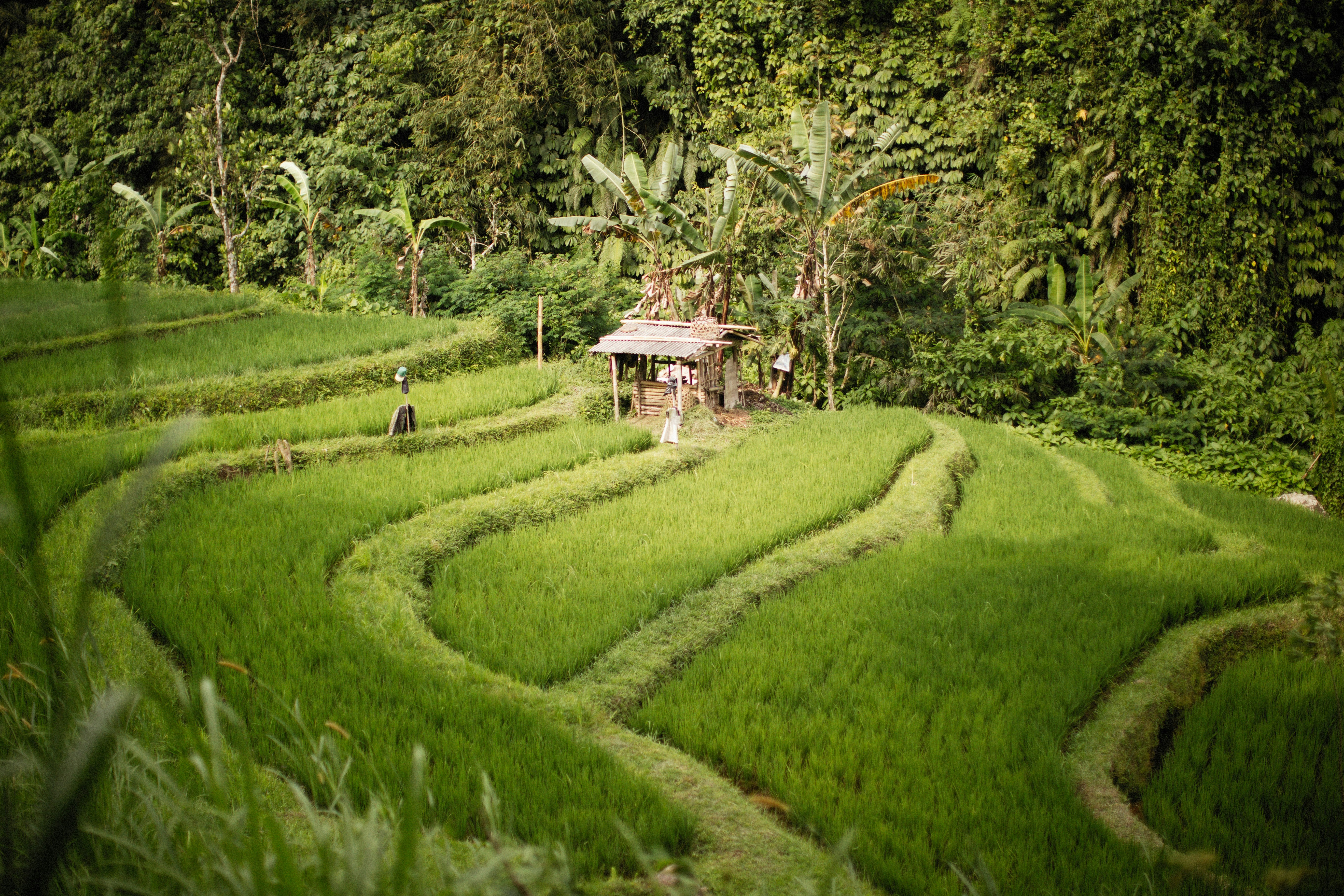 Photo by alexeydemidov