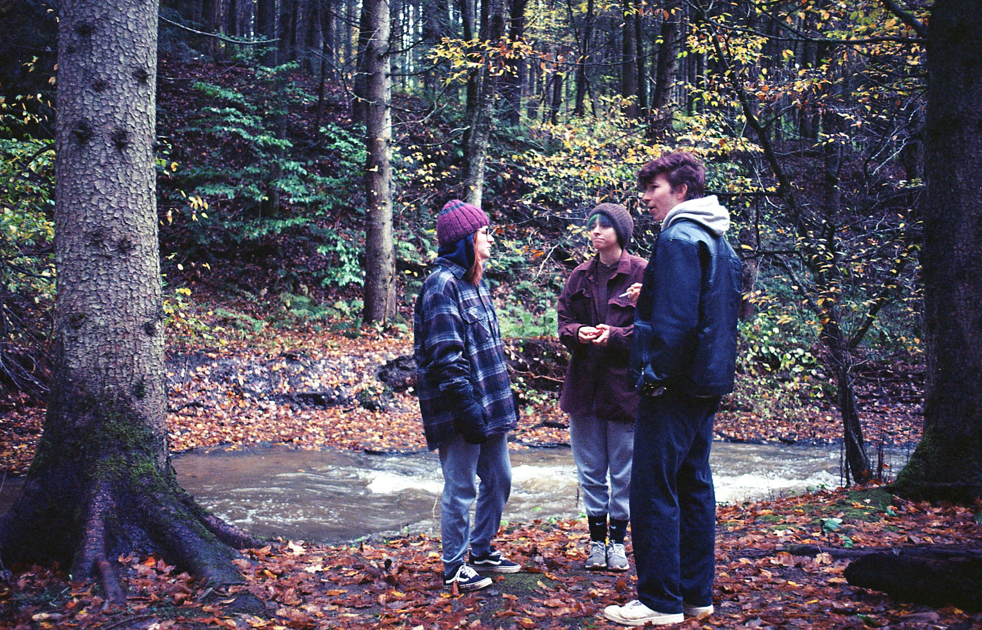 a group of people standing in the woods