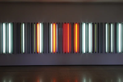 A variety of fluorescent tubes neatly arranged on display