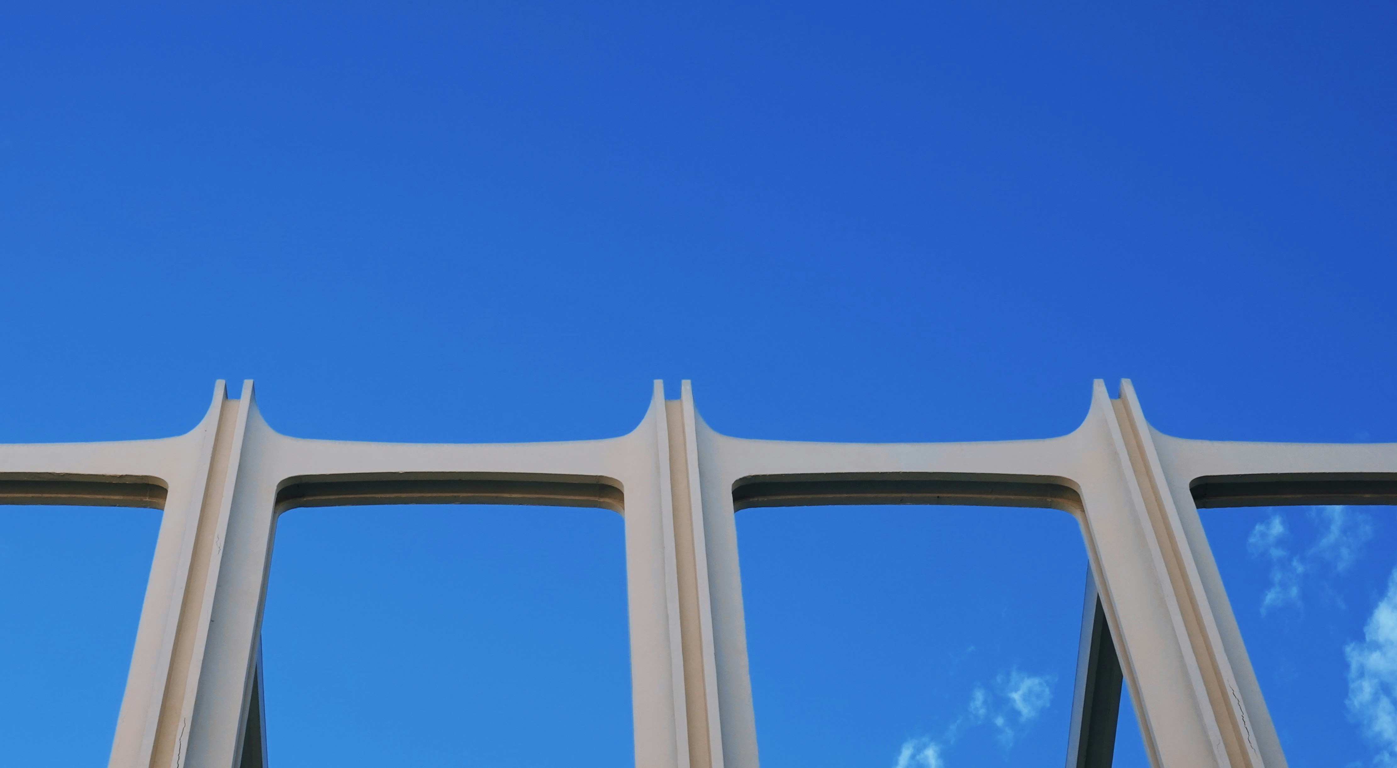 Photo by marsha_reid