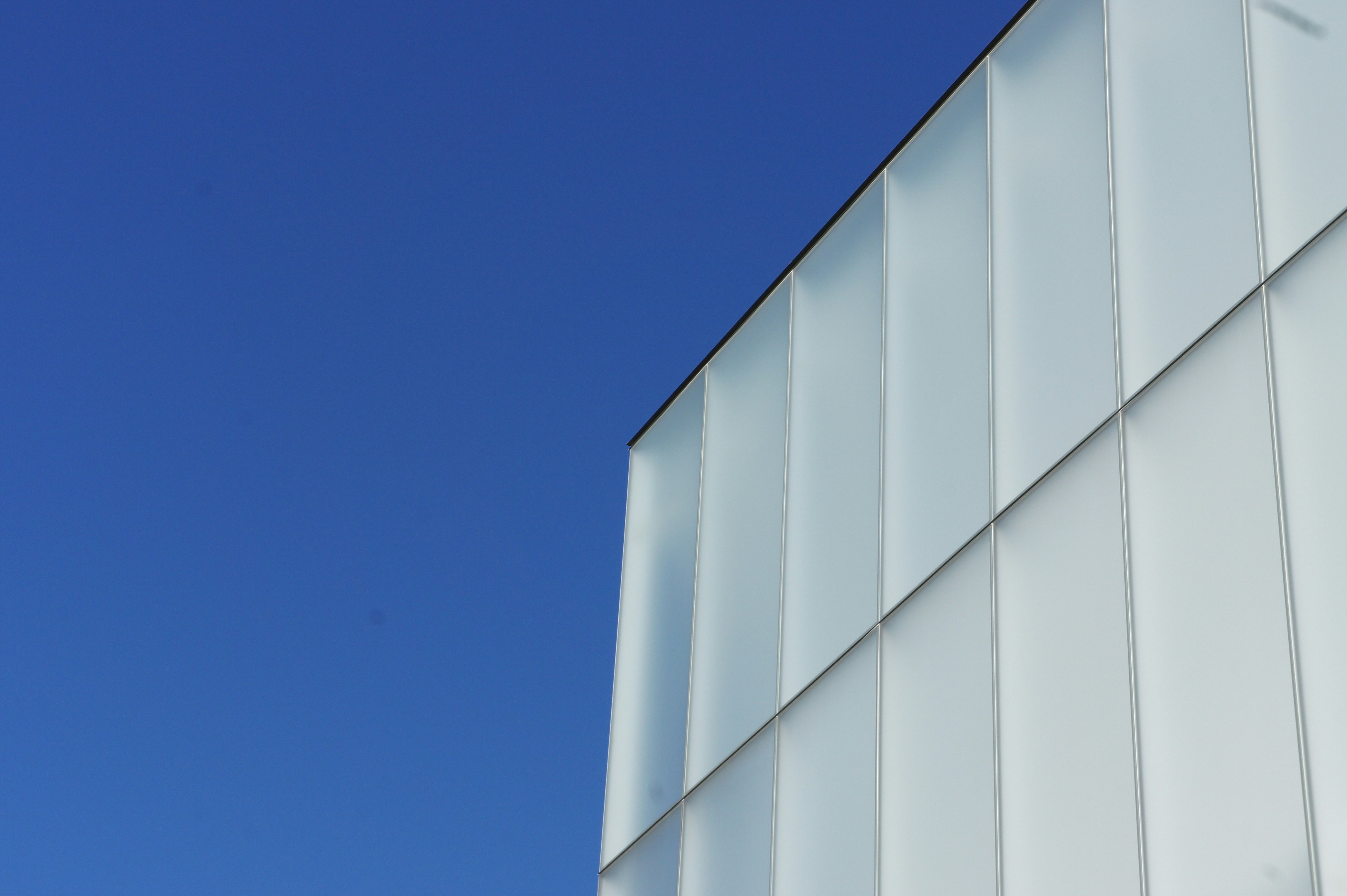 Photo by marsha_reid