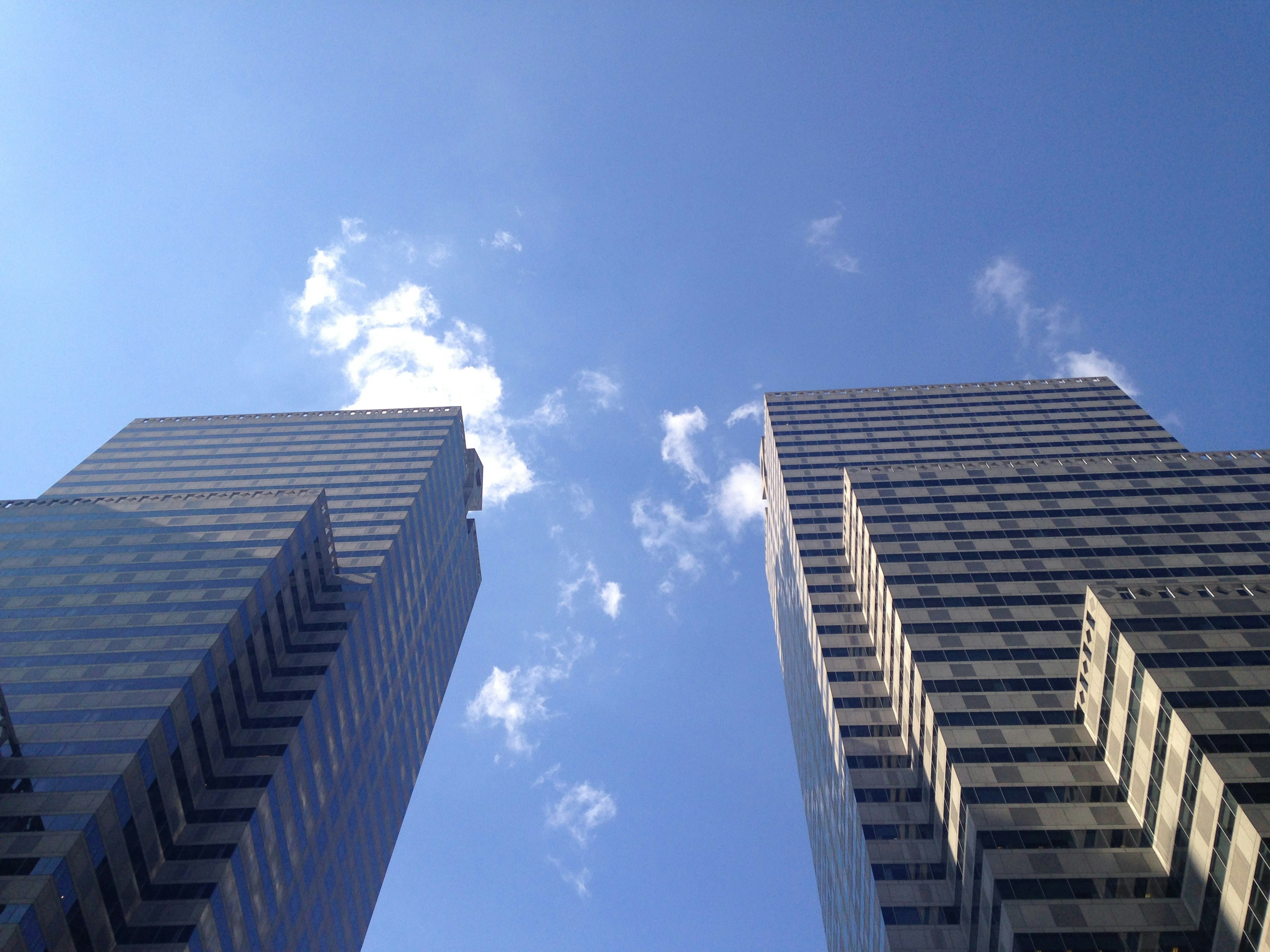 Photo by marsha_reid