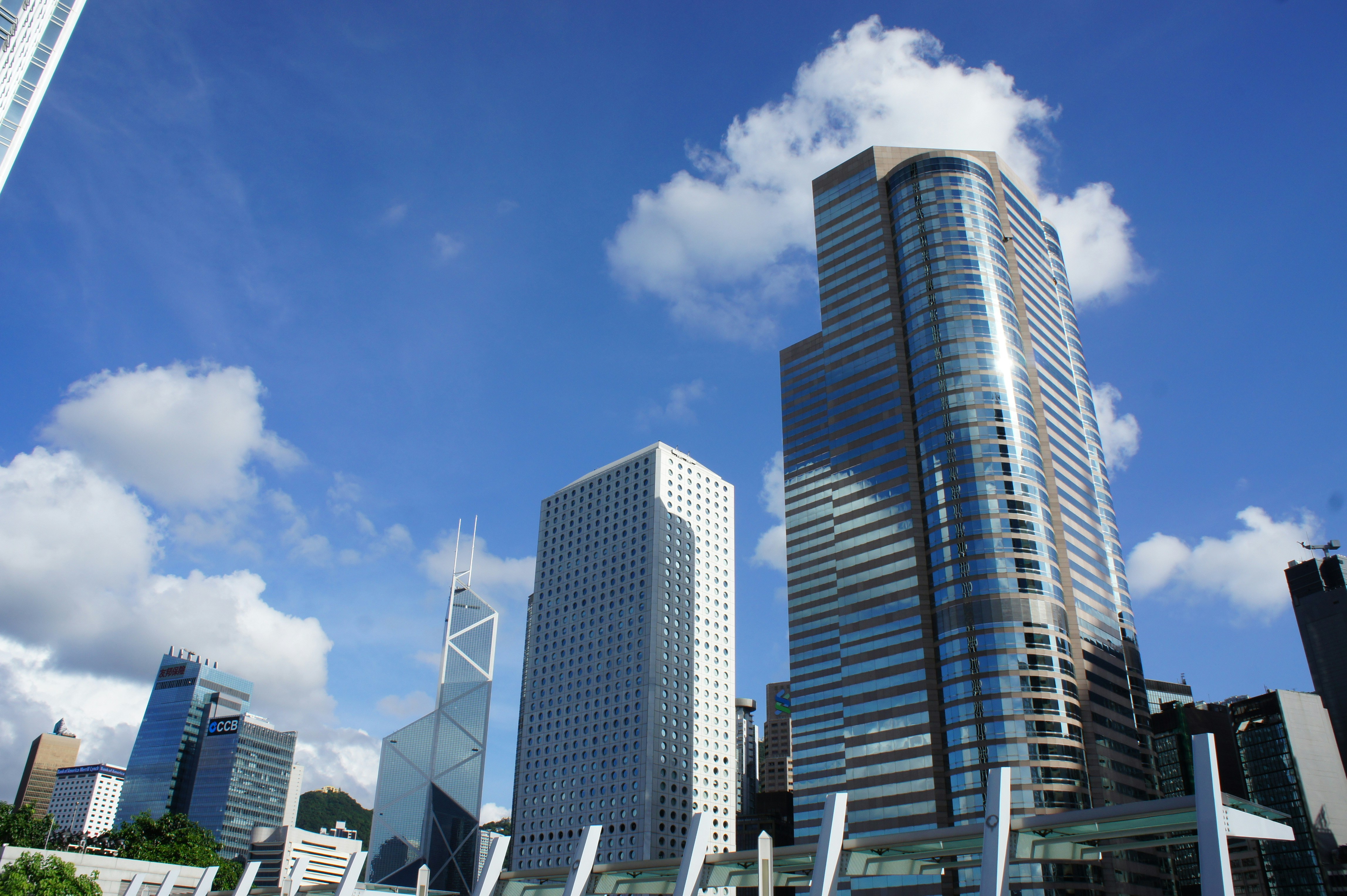 Photo by marsha_reid