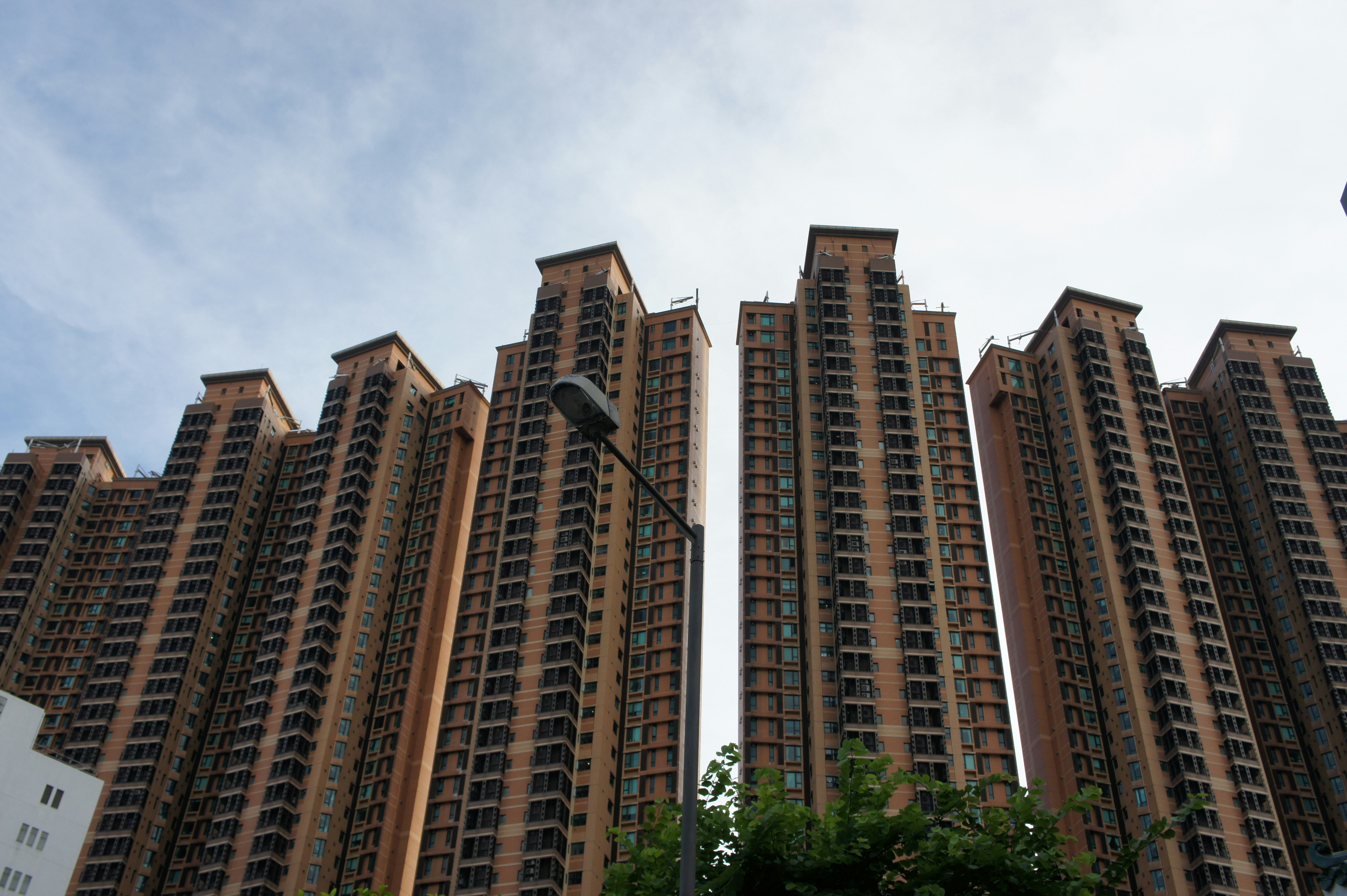 Photo by marsha_reid