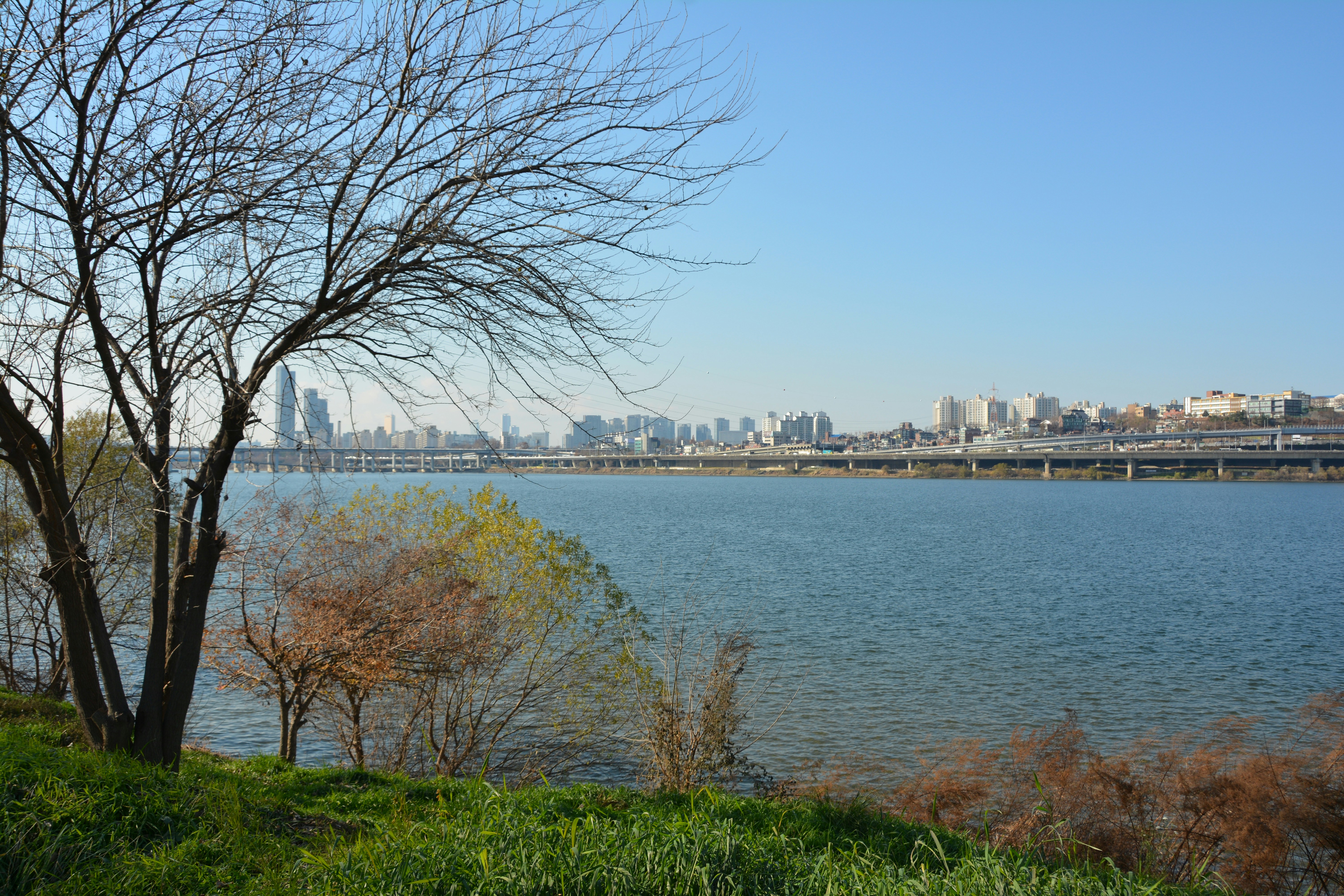 Una gran masa de agua con una ciudad al fondo