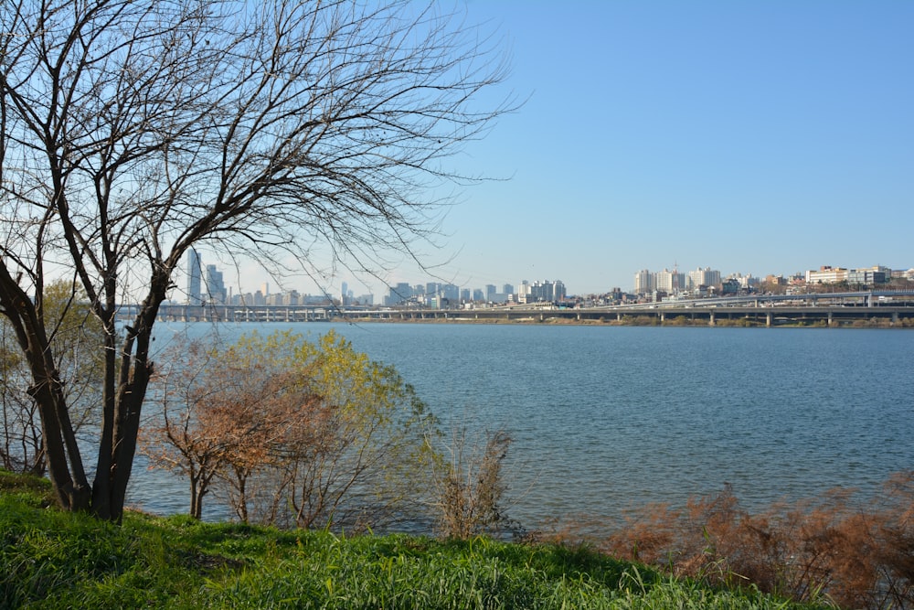 a large body of water with a city in the background