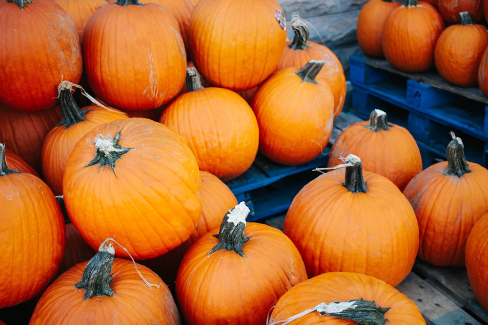 a pile of orange pumpkins sitting next to each other