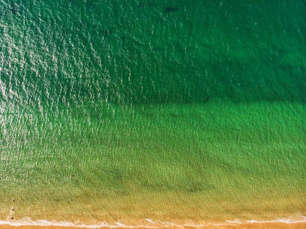 an aerial view of a beach with green water