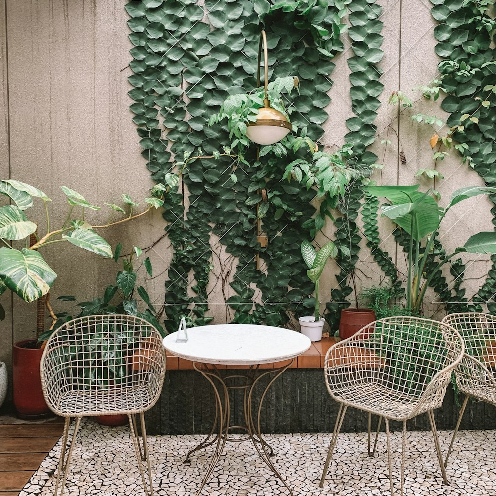 three chairs and a table in front of a wall of plants