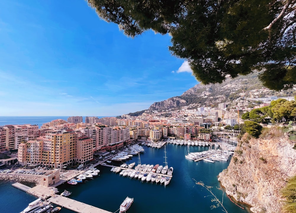 a view of a marina with boats in the water