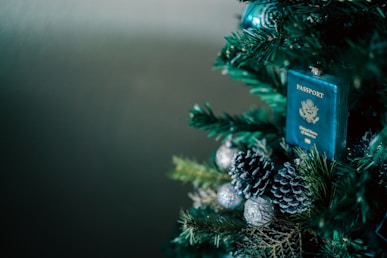 a close up of a christmas tree with a passport on it