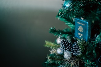 a close up of a christmas tree with a passport on it