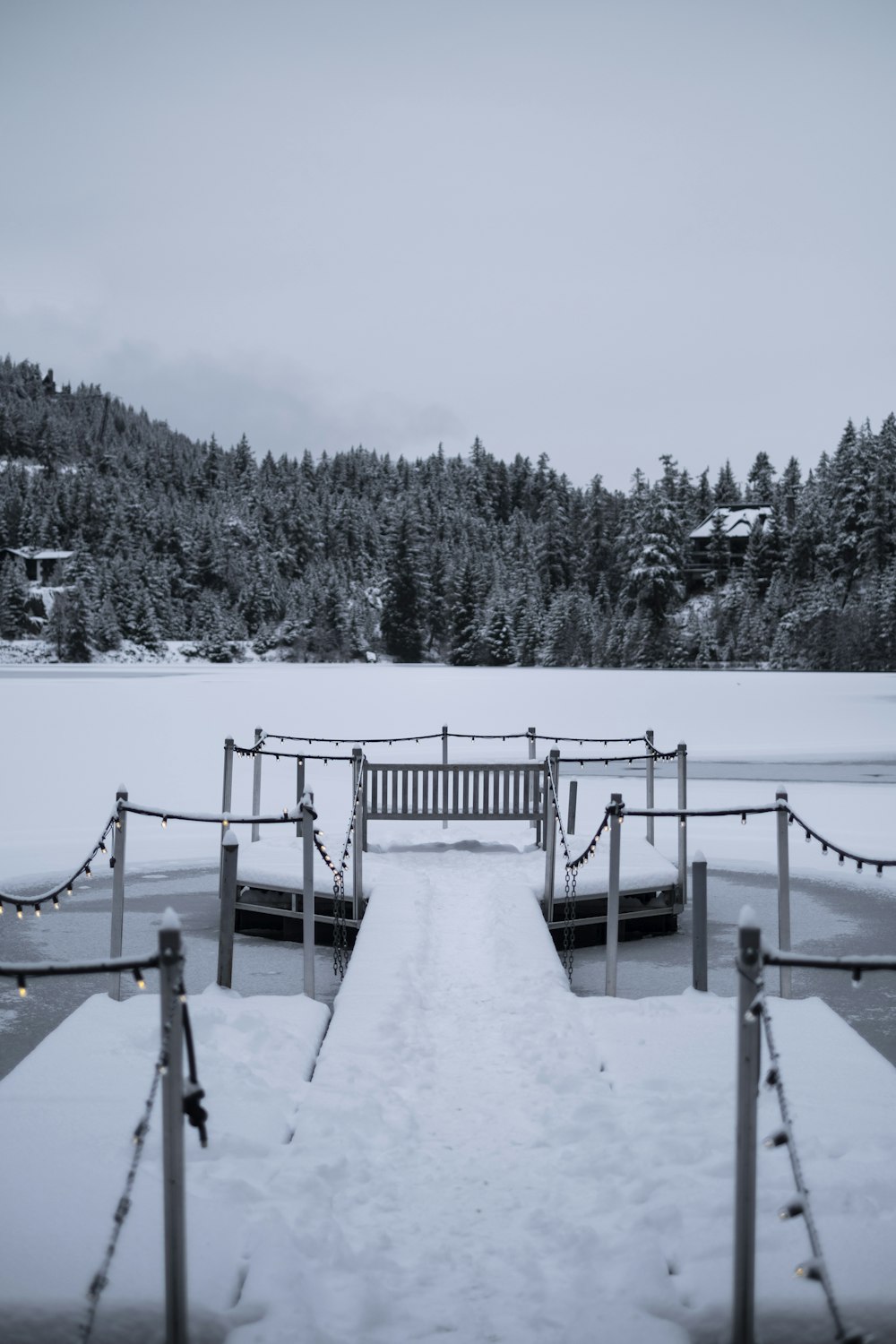 a snowy dock with lights on it and trees in the background
