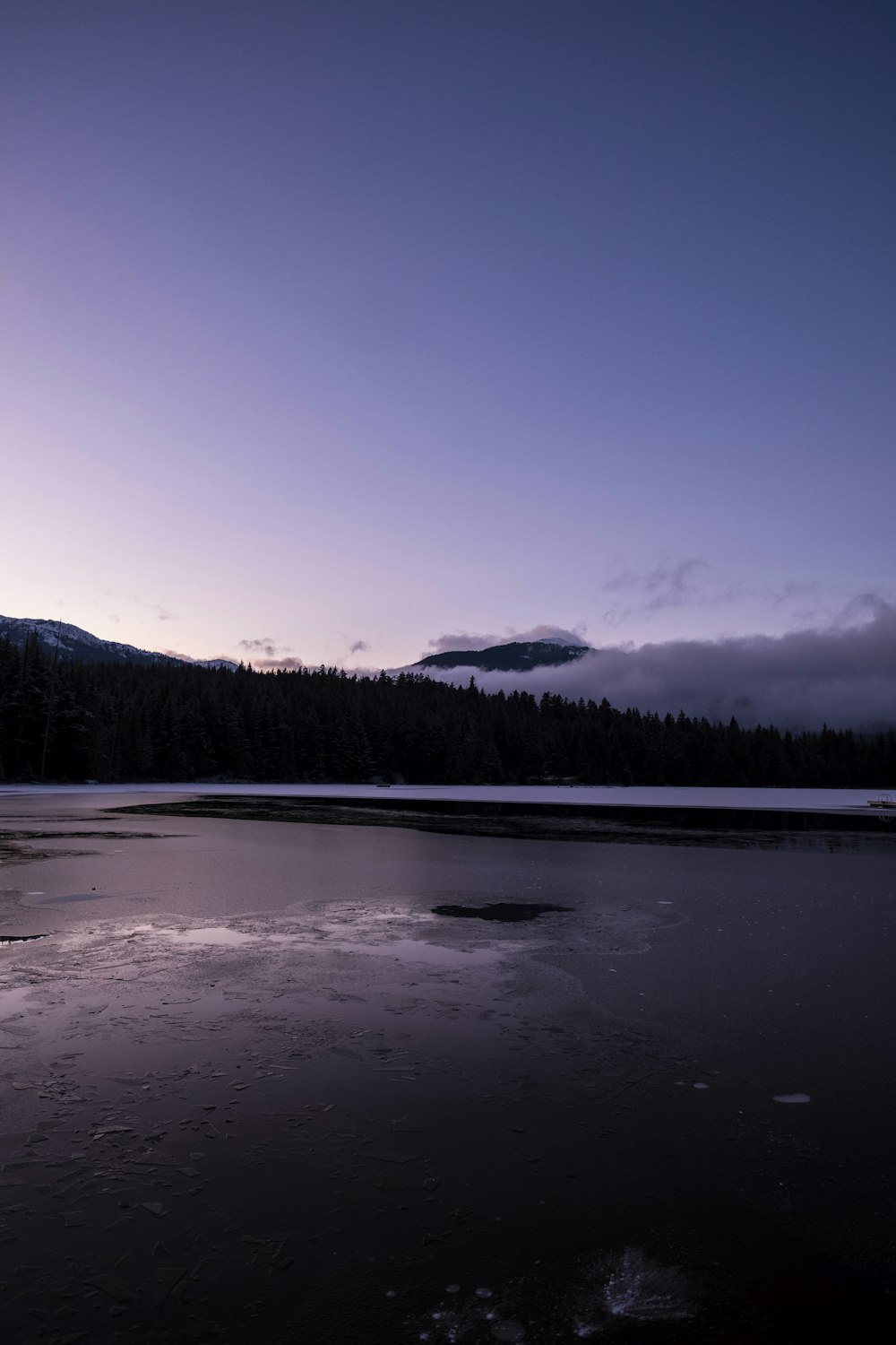 a large body of water surrounded by a forest