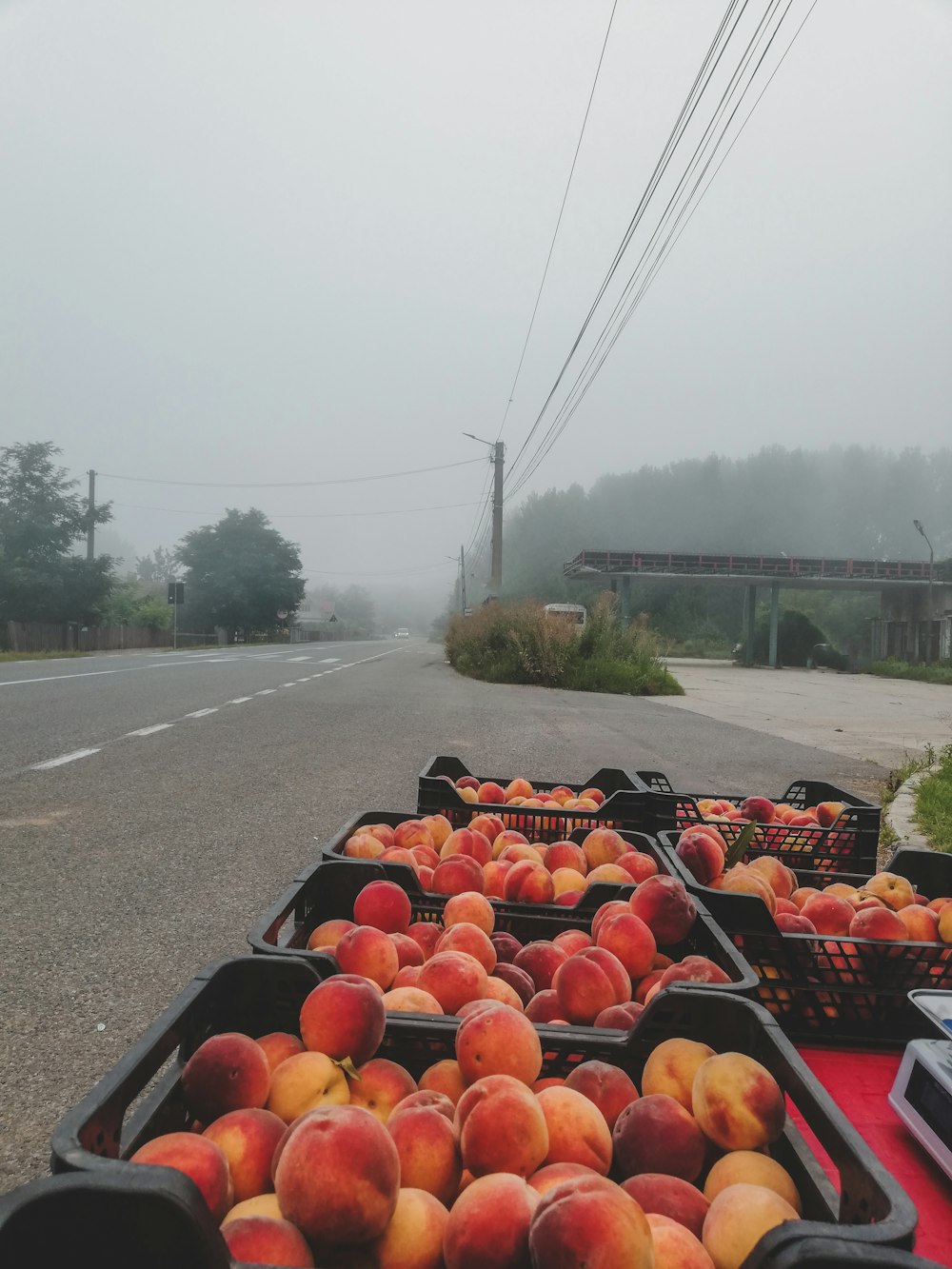crates of peaches on the side of the road on a foggy day