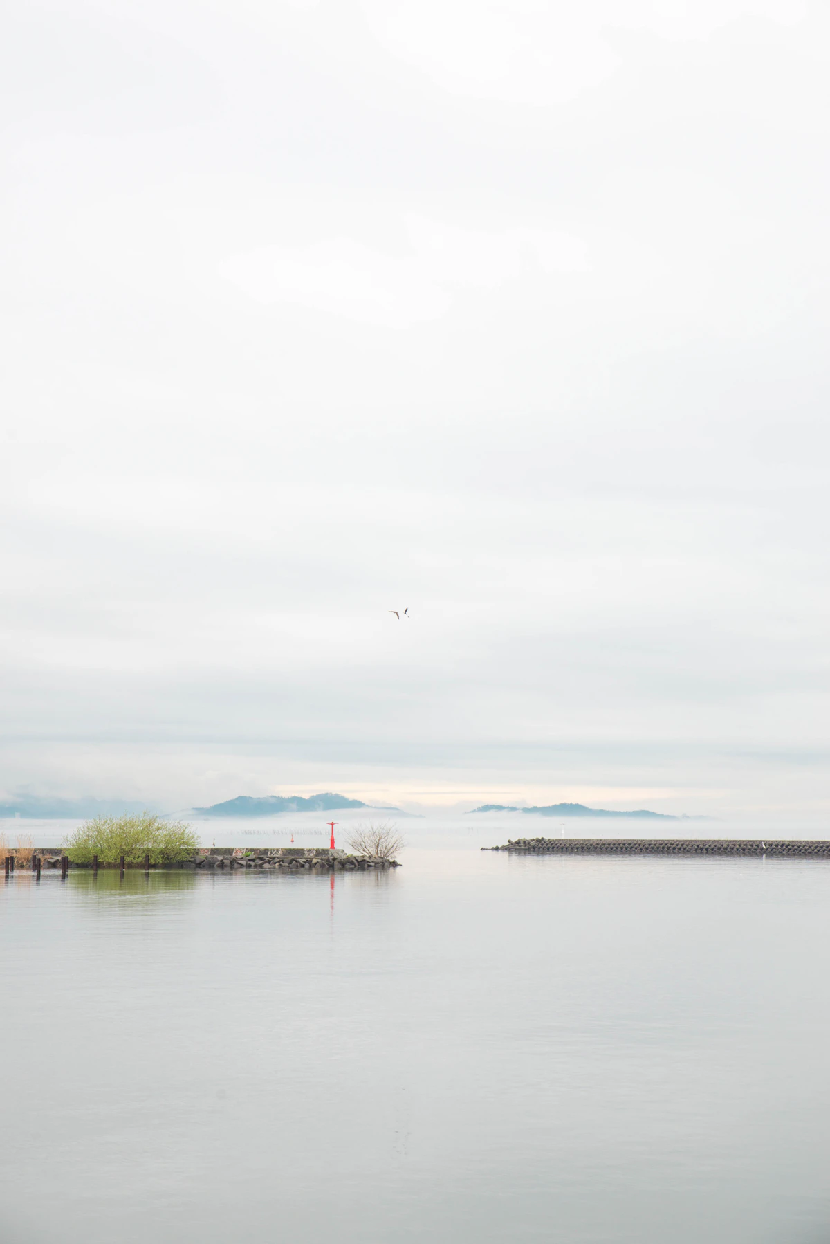 Calm water of Lake Biwa with a small island on the horizon, Shiga