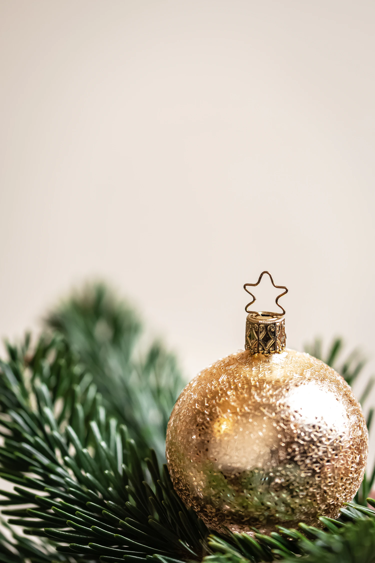 Goldstern gold glitter bauble with a star cap resting on fir branches
