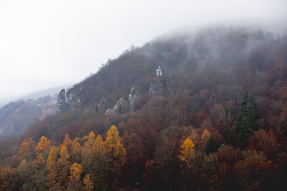 a foggy mountain covered in trees with a light house on top