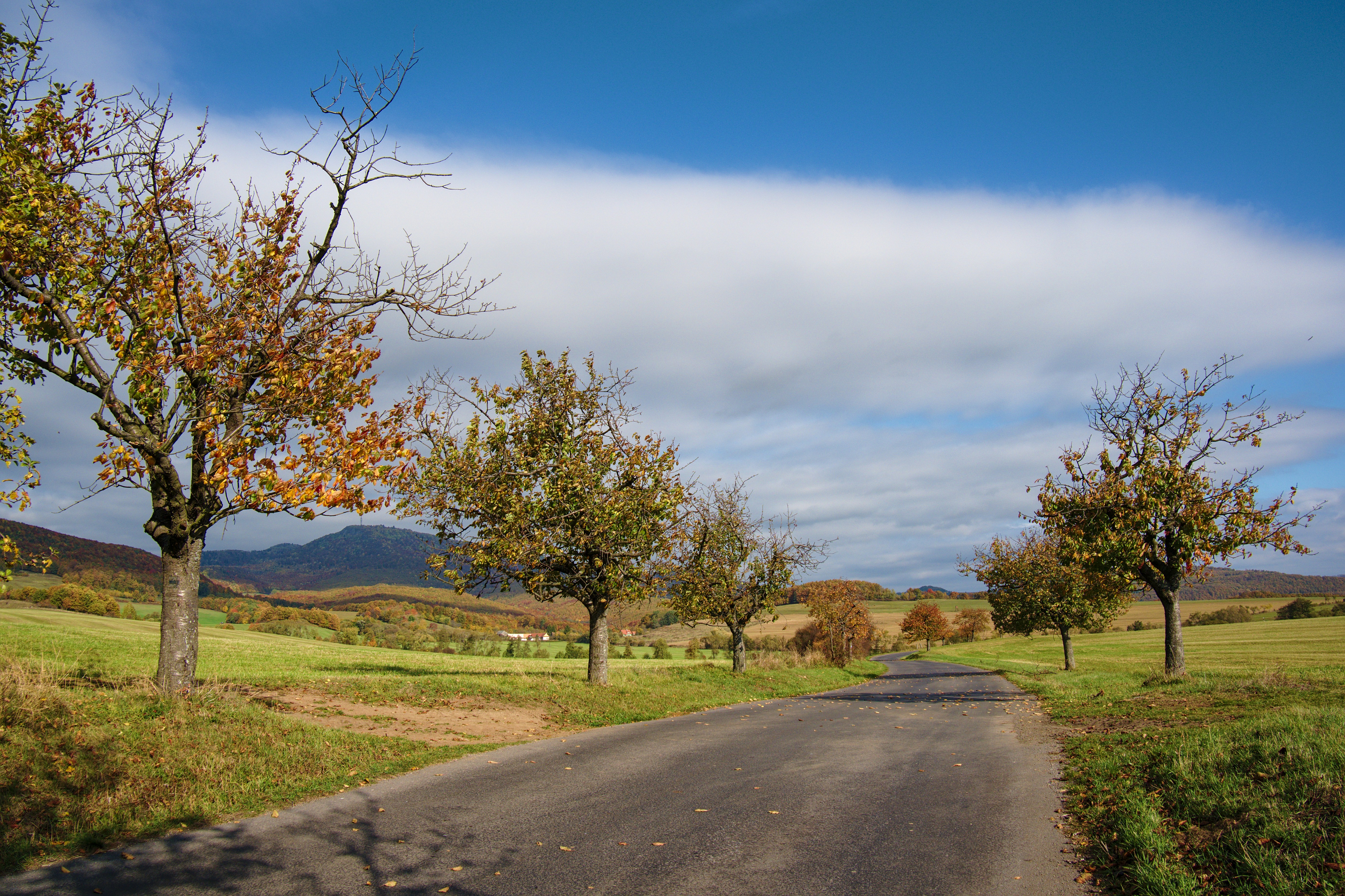 Photo by vieraminarovicova