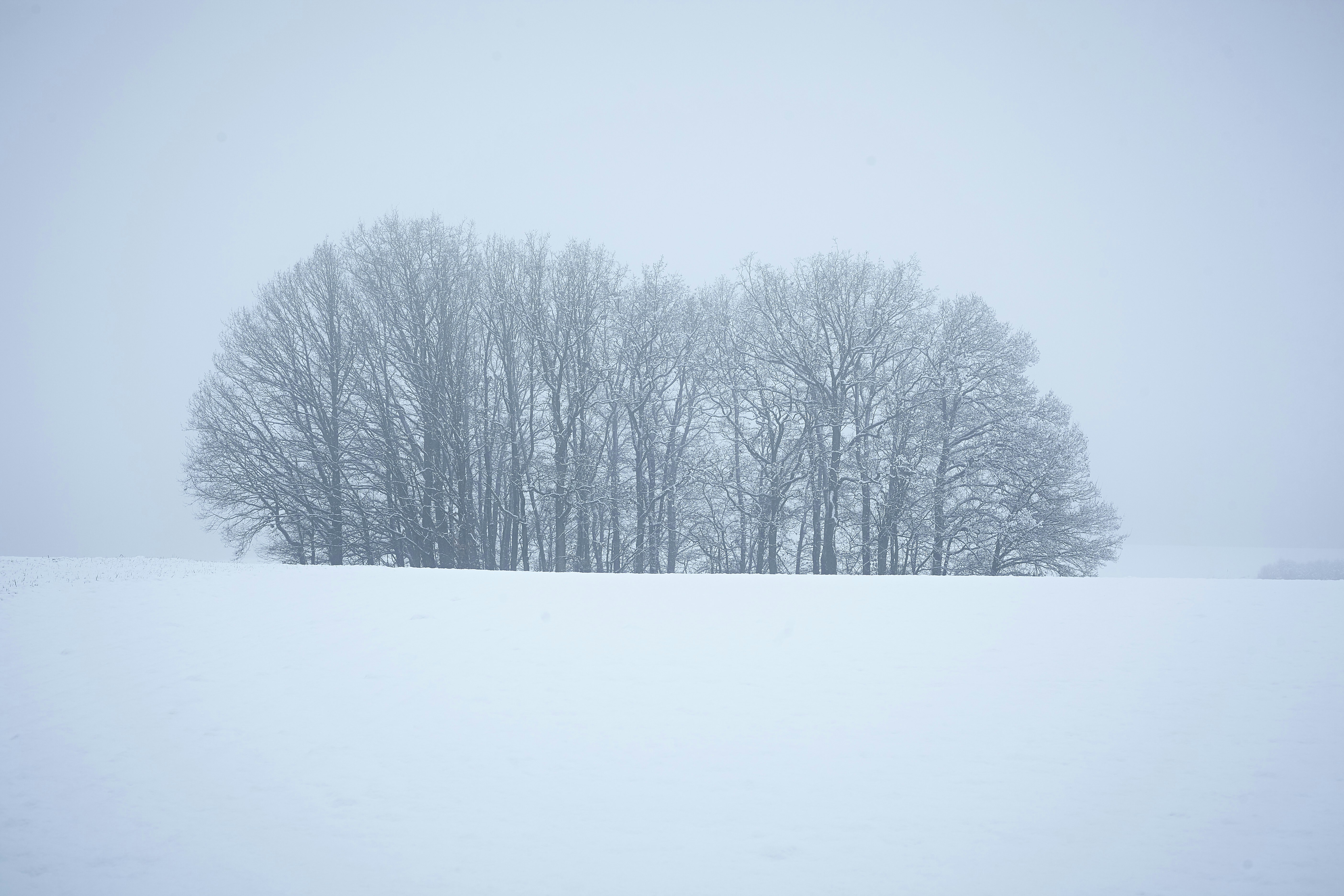 Photo by quadratmedia