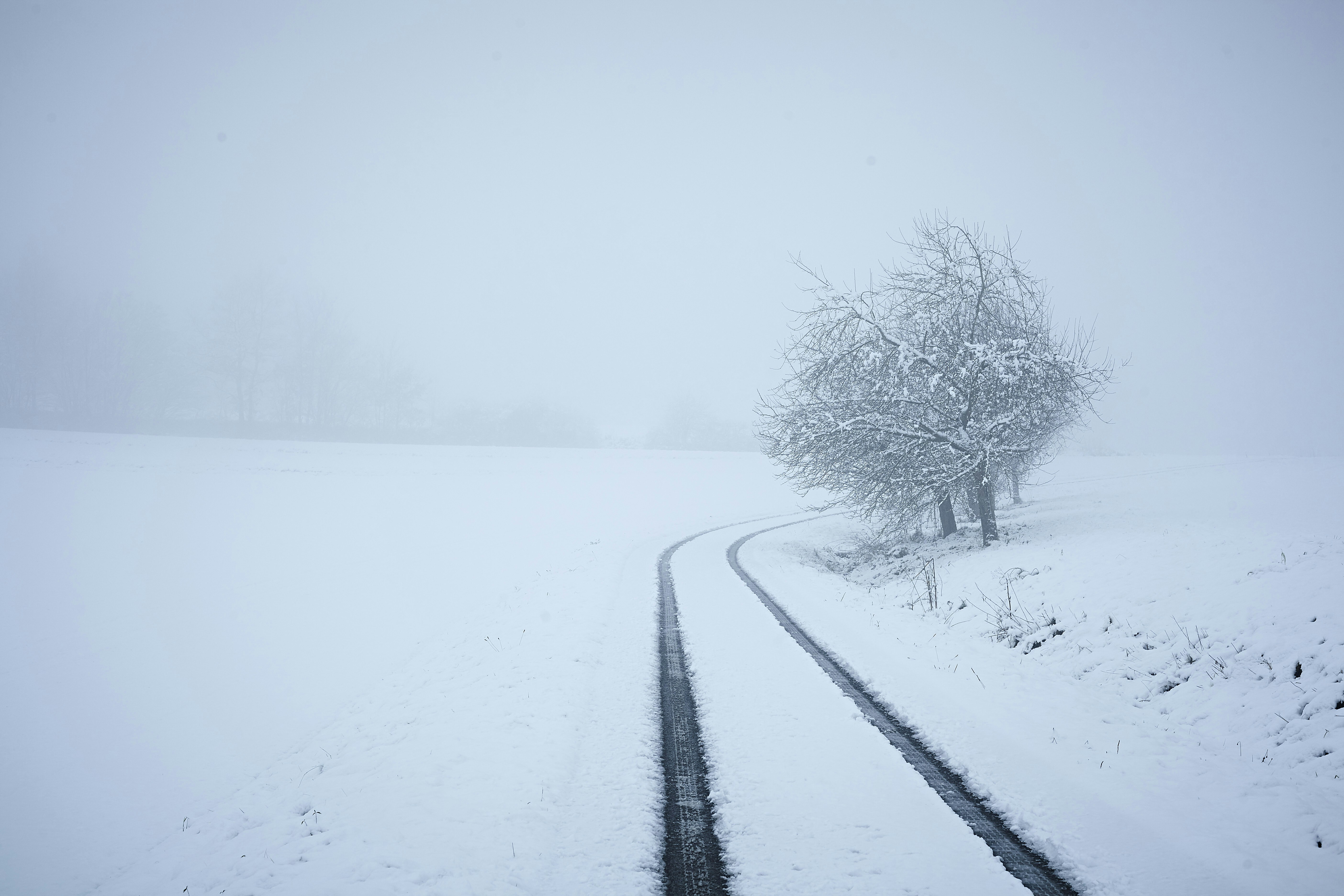 Photo by quadratmedia