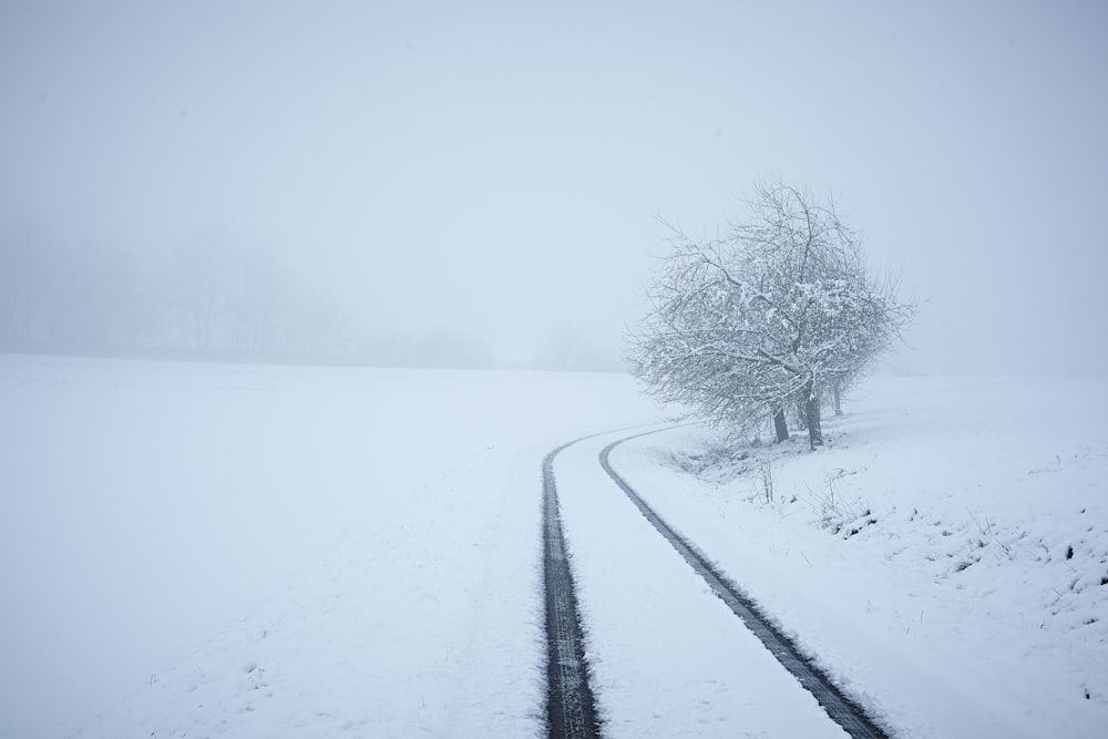 a train track in a snowy field with a tree