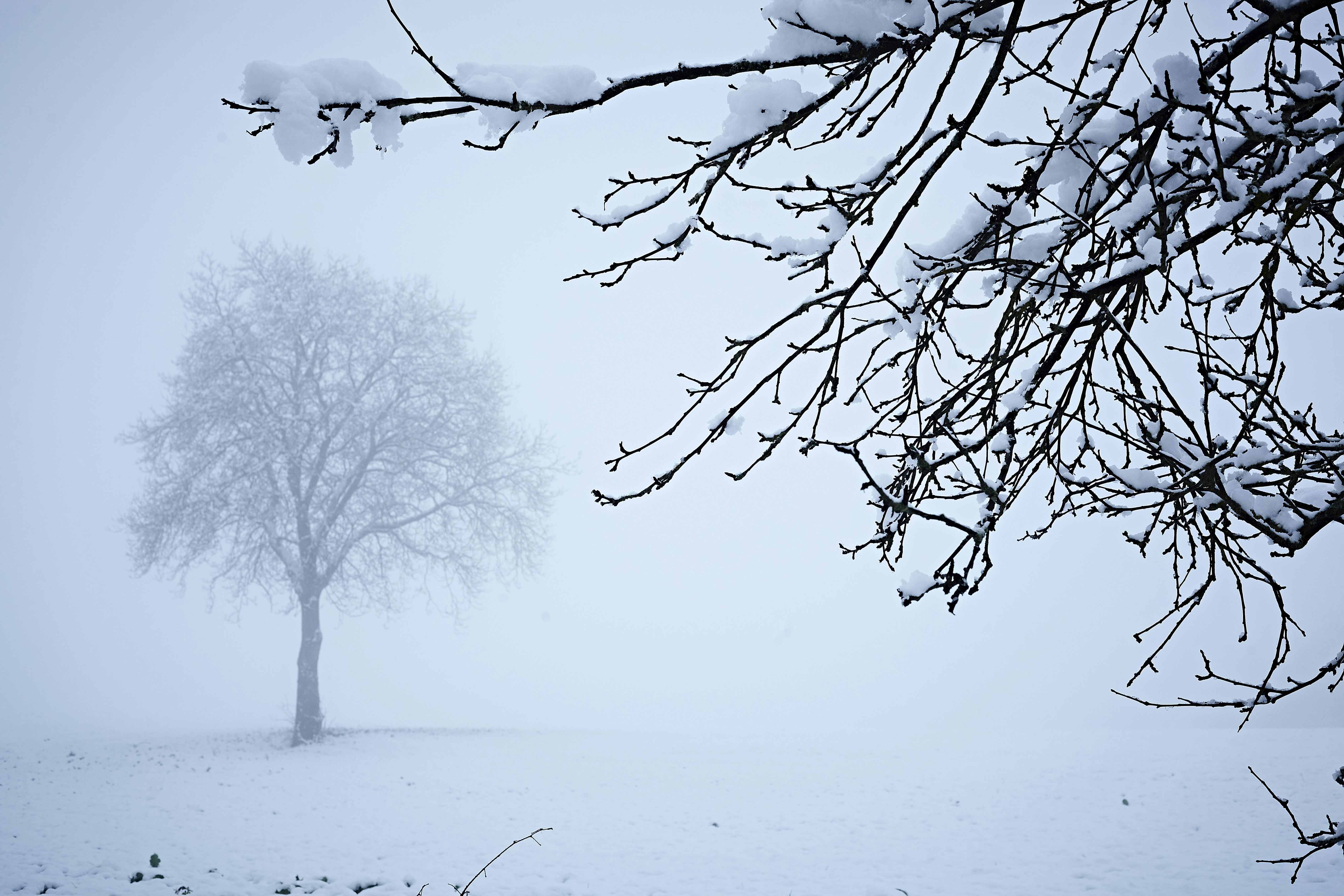 Photo by quadratmedia