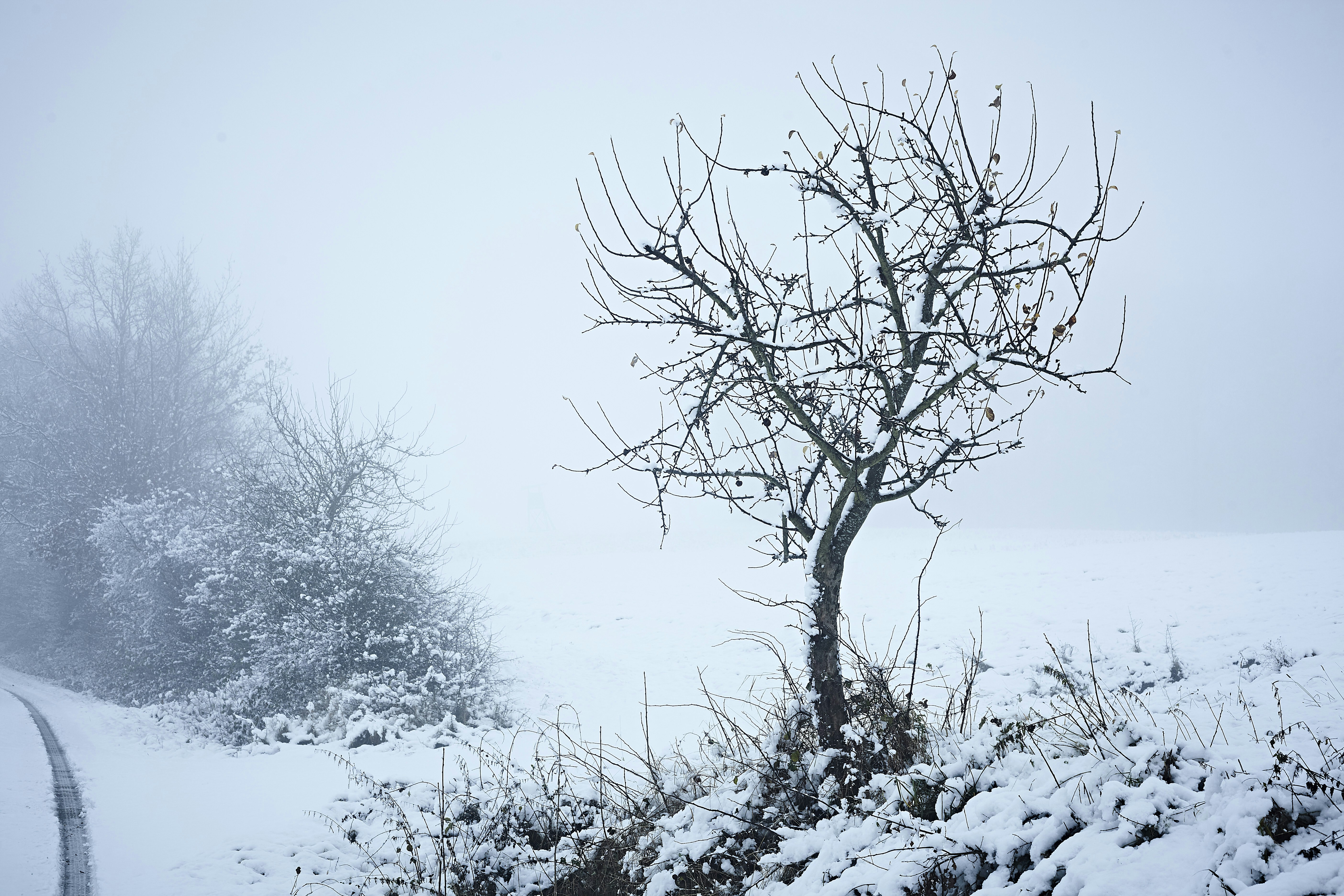 Photo by quadratmedia