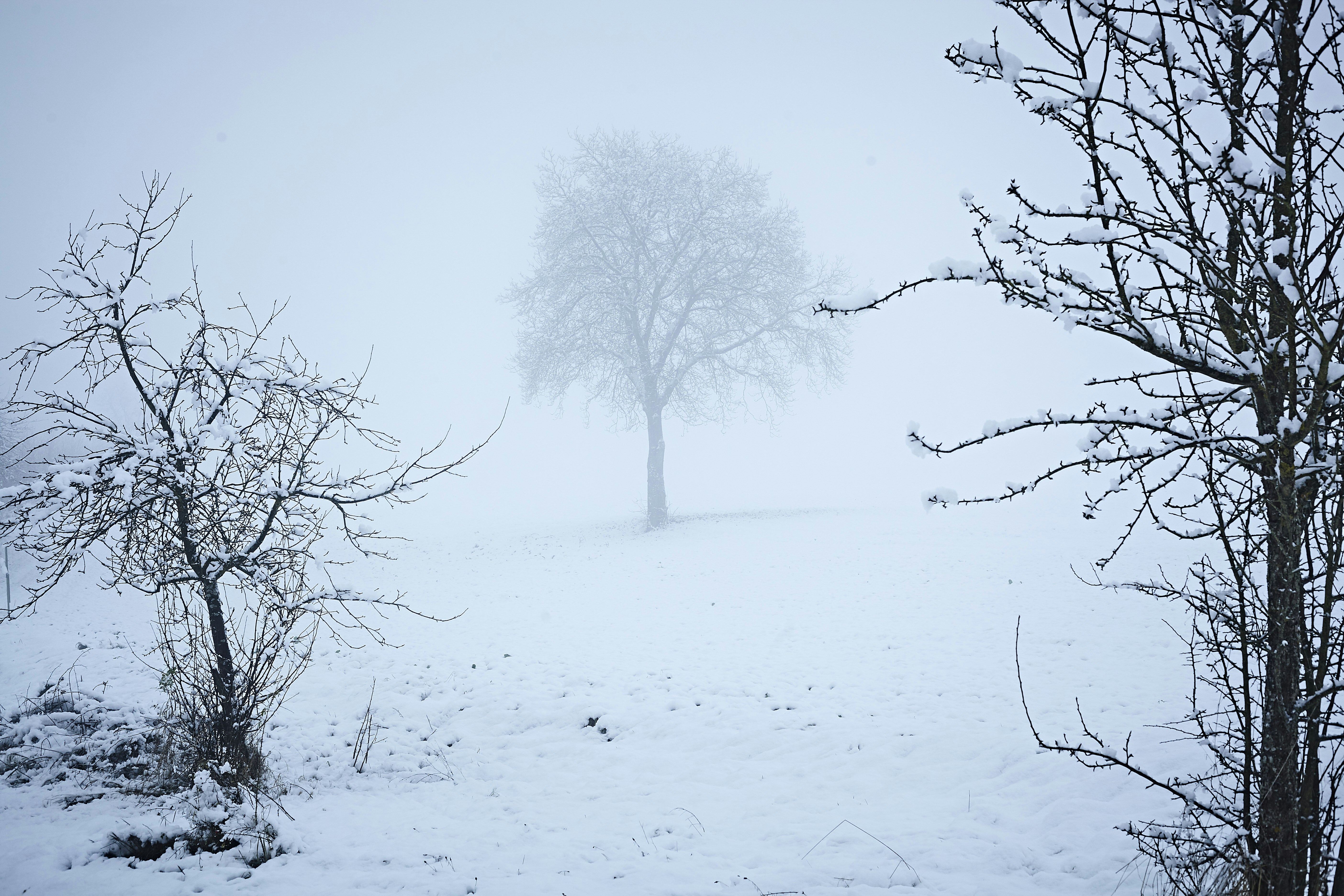 Photo by quadratmedia