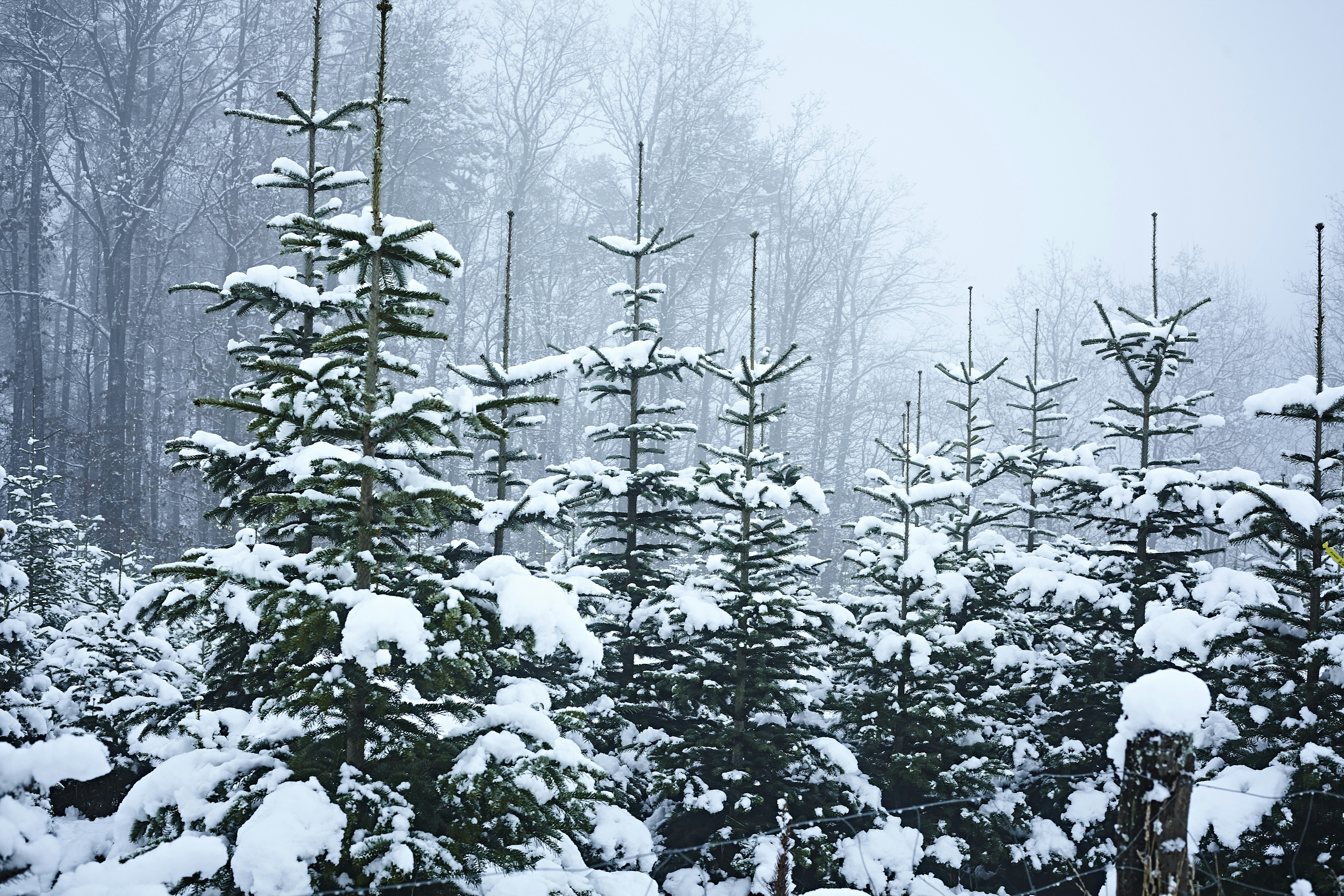 Photo by quadratmedia