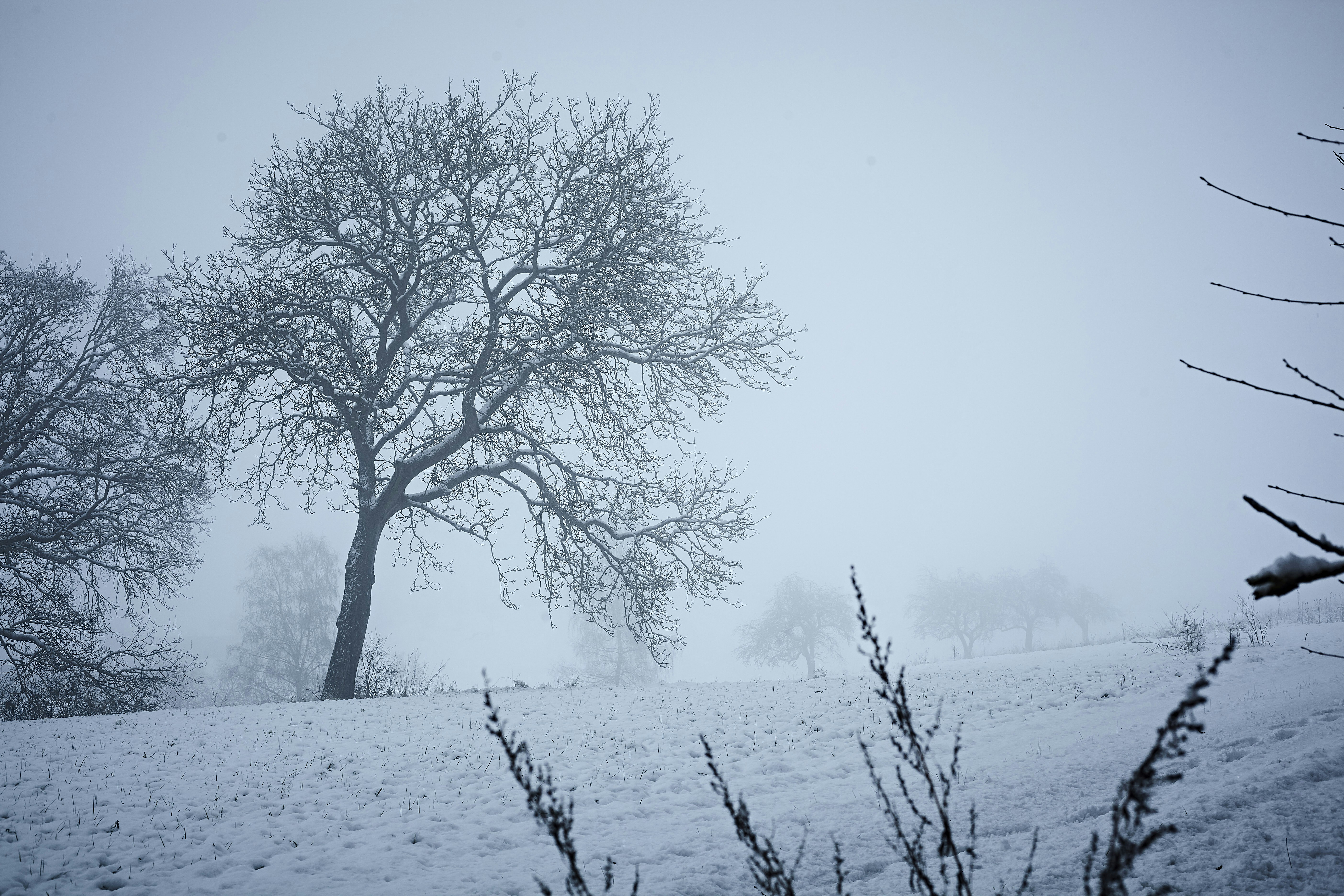 Photo by quadratmedia