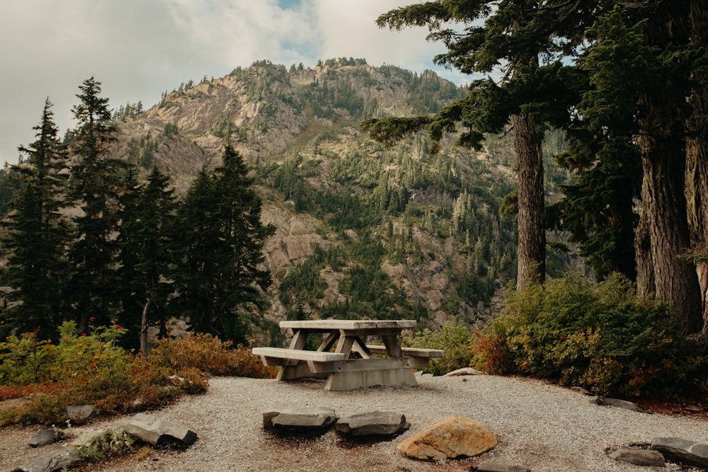 a picnic table in the middle of a forest