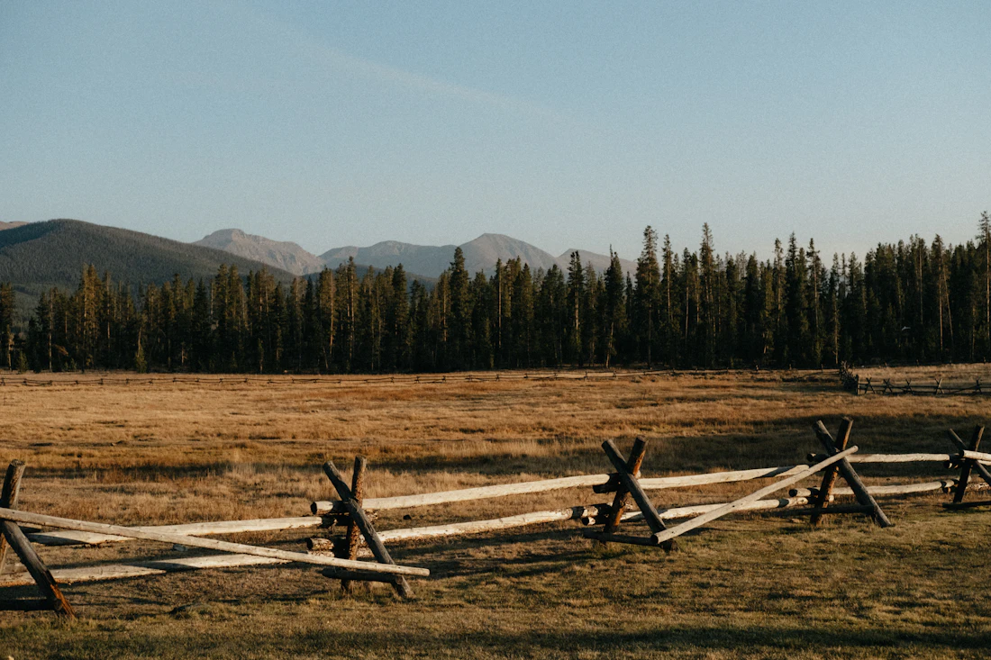 Zigzag split rail fence across a field with pine forest behind
