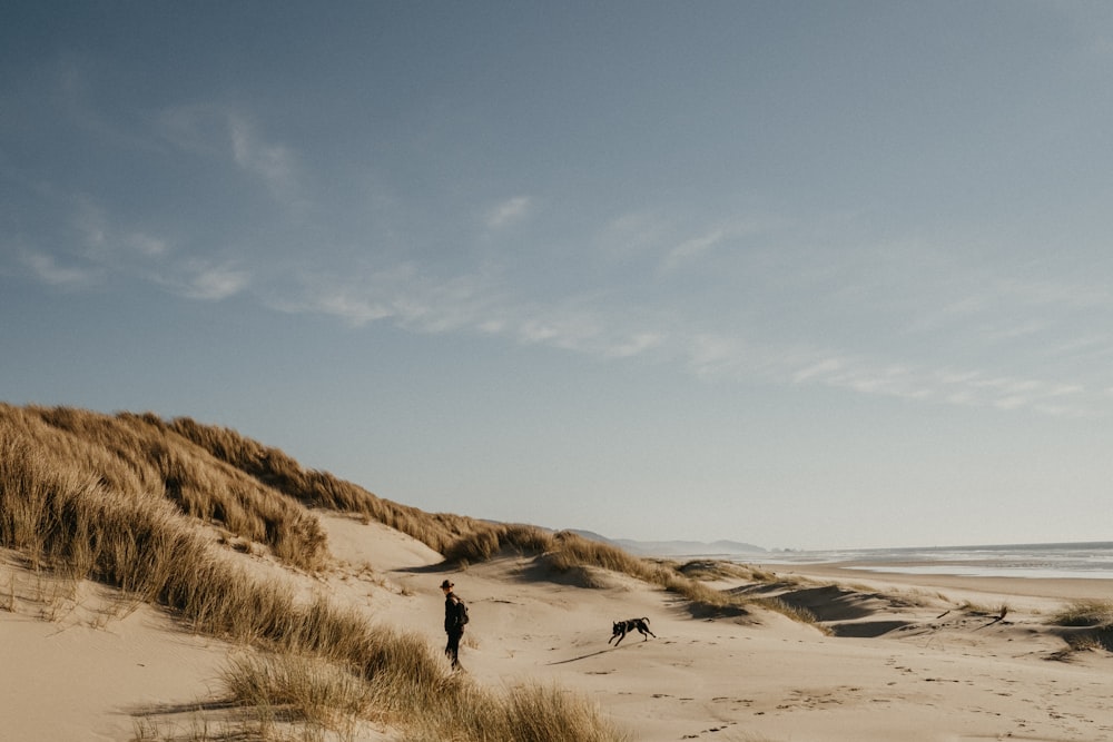 a group of people on a beach