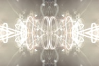 An abstract visualization of the eight principles as intertwined light and organic forms.