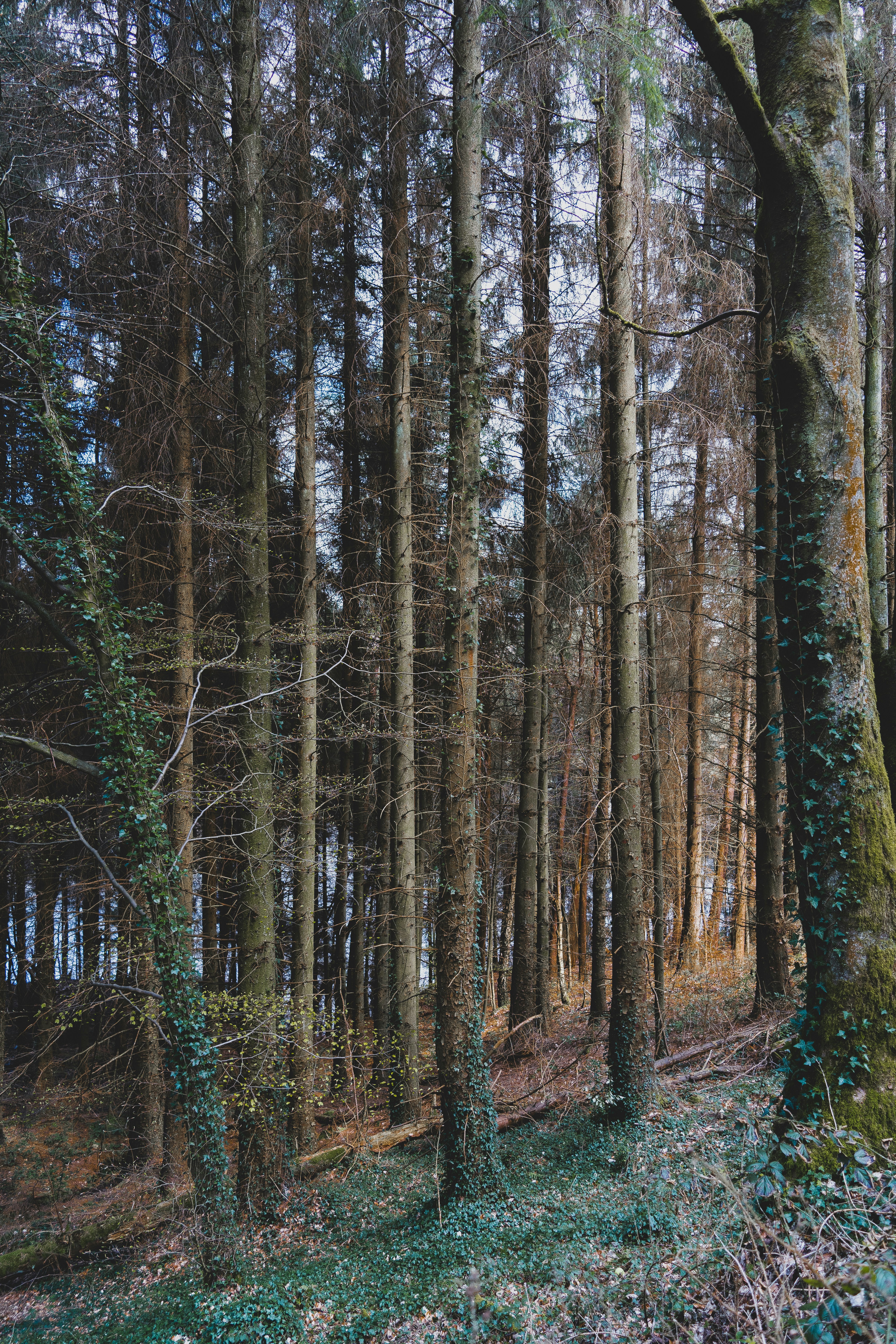 Photo by benjaminelliott