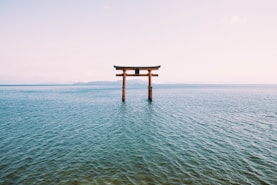 a tori tori floating in the middle of a body of water